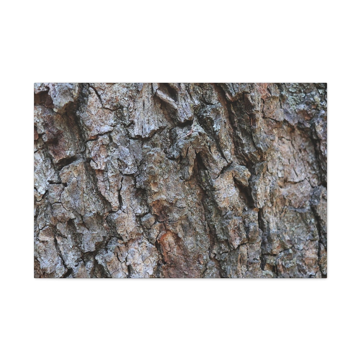 Rugged Canvas - Unique Frameless Canvas Wall Art