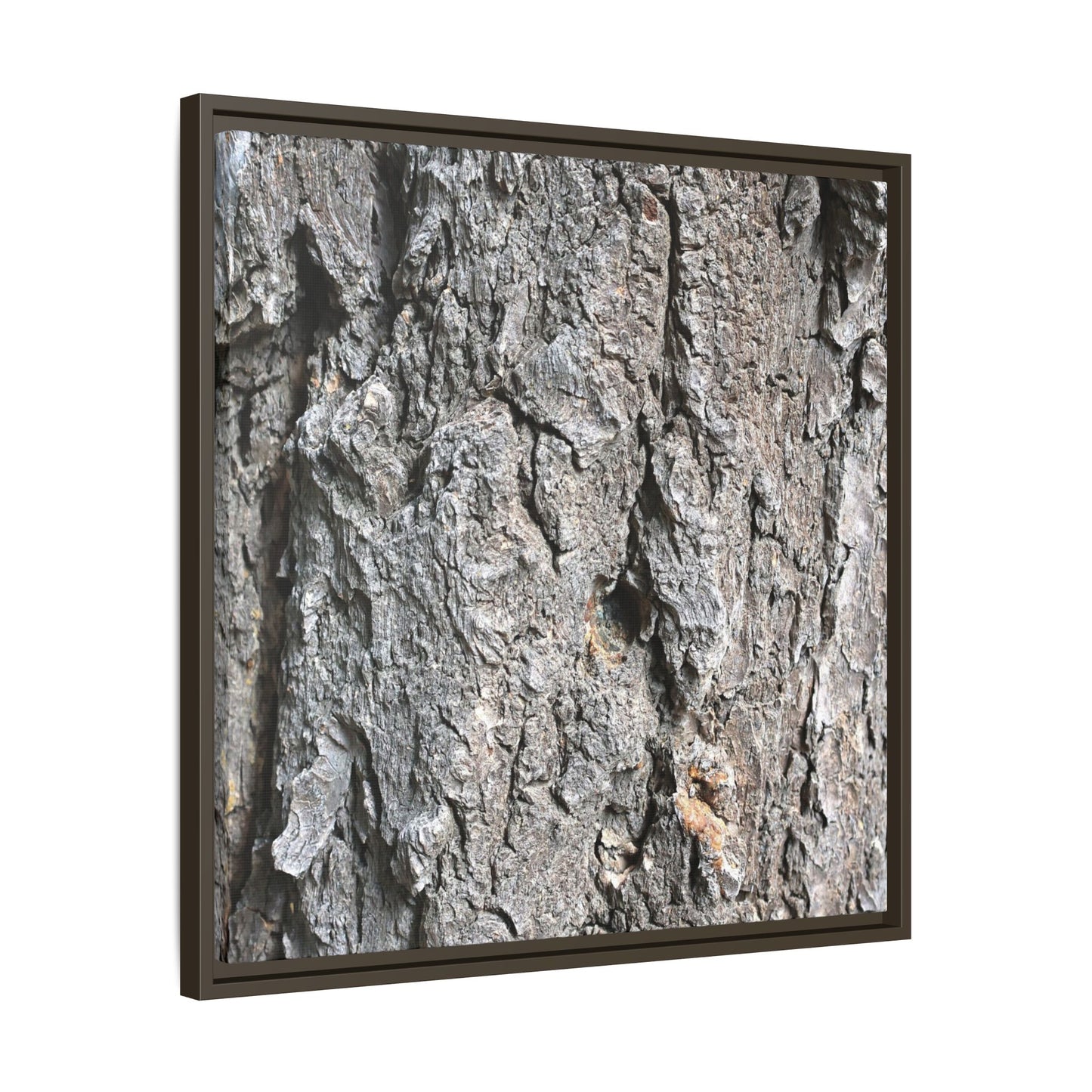 Crusty Exterior - Unique Stretched Canvas Wall Art