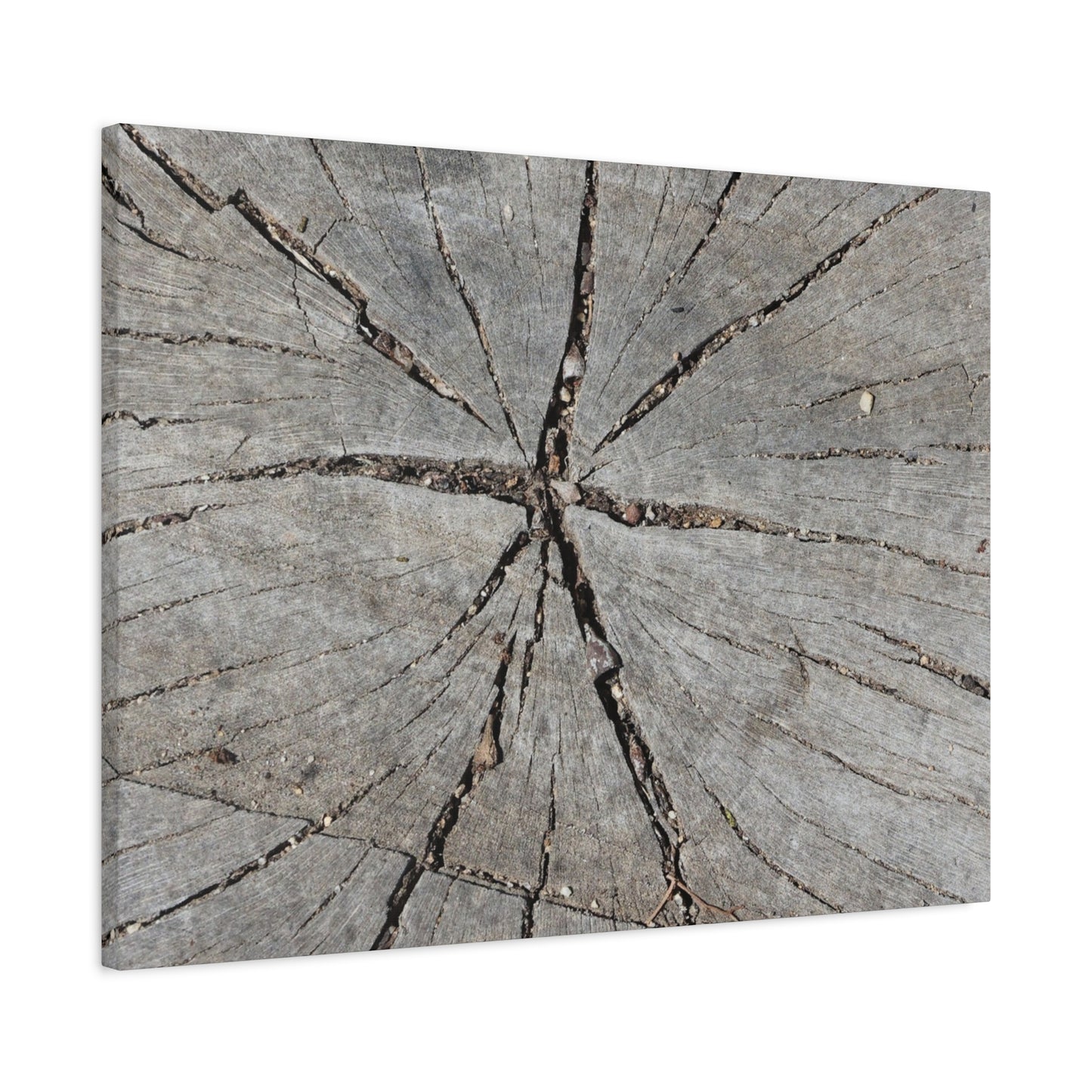 Cracked Chronicle - Unique Frameless Canvas Wall Art