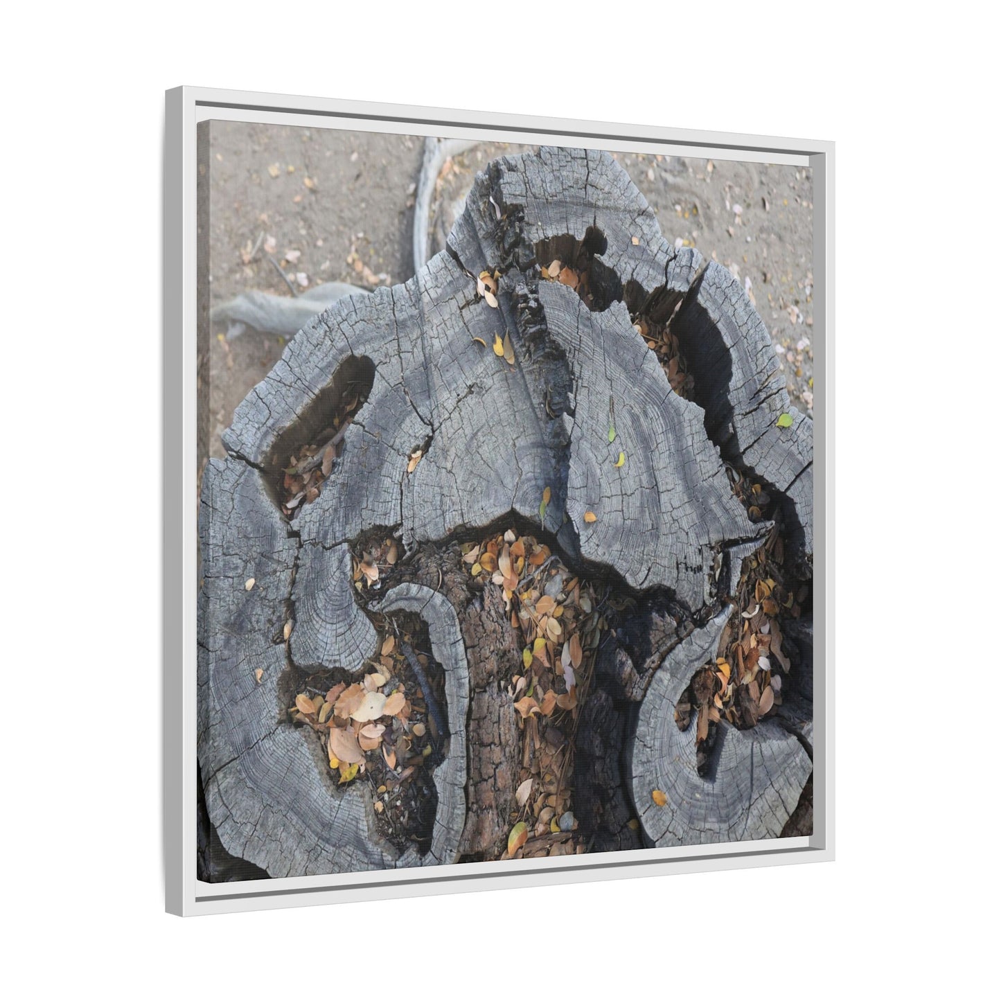 Time's Fractal Memory - Unique Stretched Canvas Wall Art