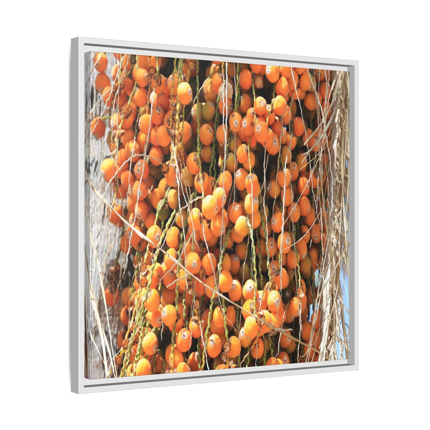 Clusters of Sunlight - Unique Canvas Wall Art