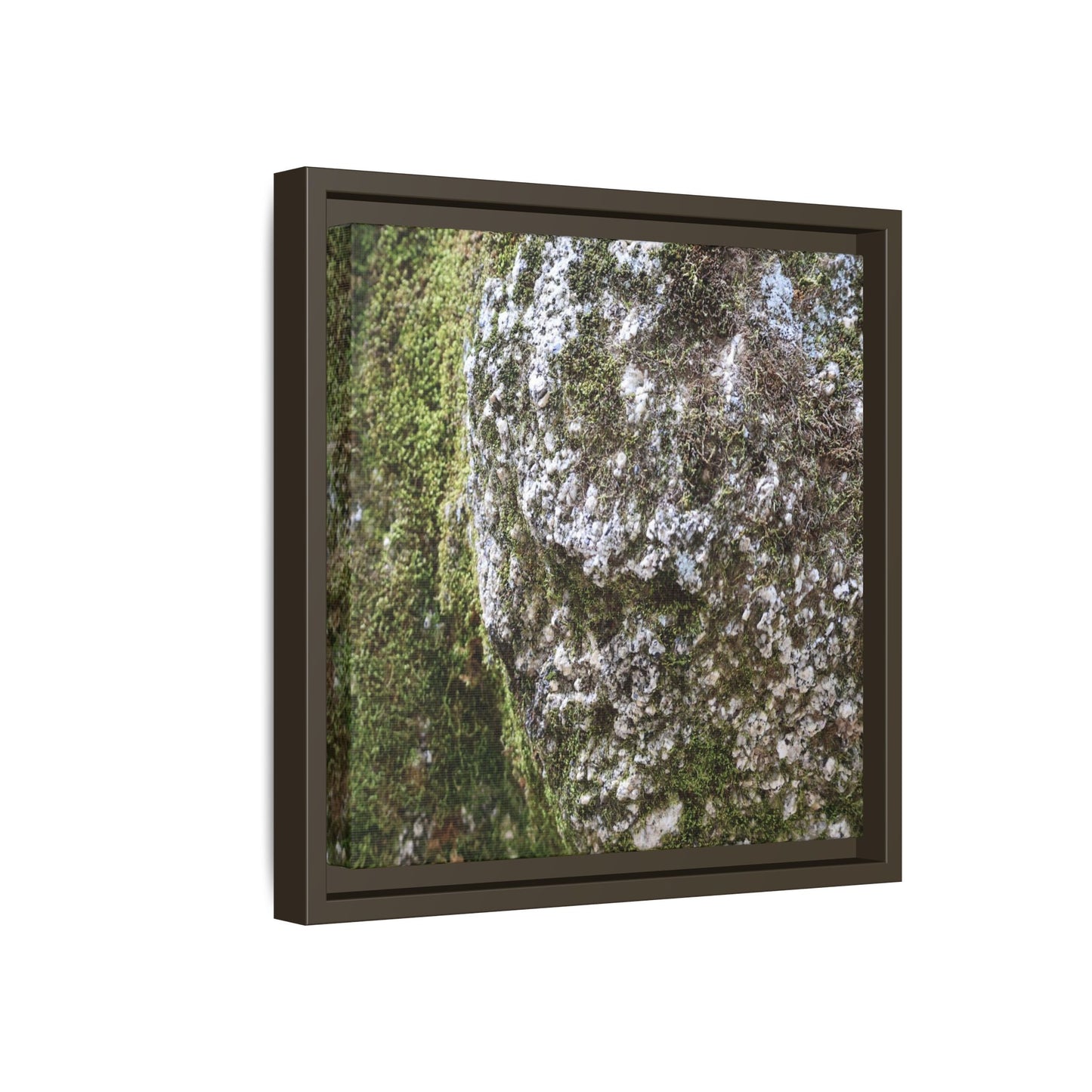 Lichen Landscape - Unique Stretched Canvas Wall Art