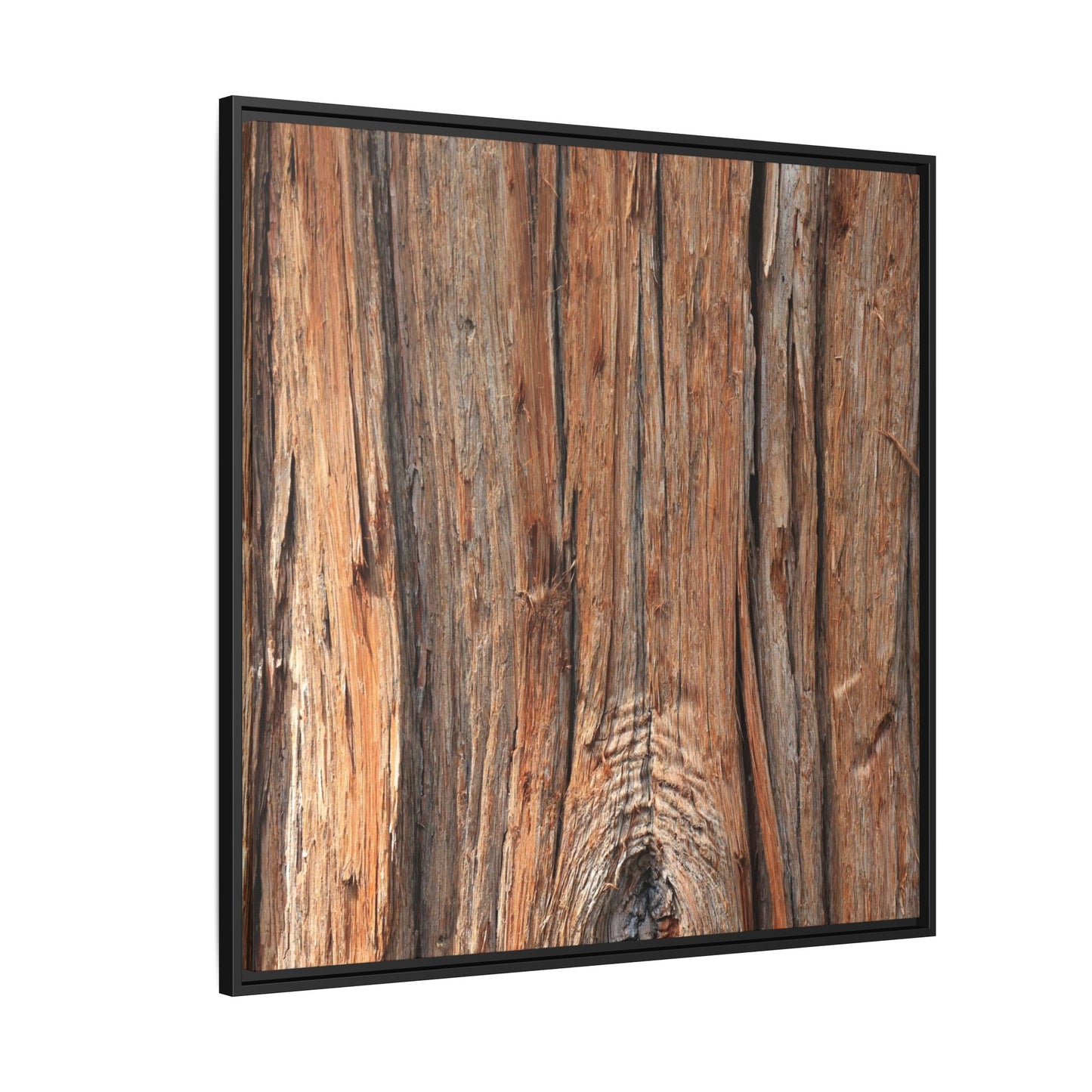 Echoes of Timber - Unique Stretched Canvas Wall Art