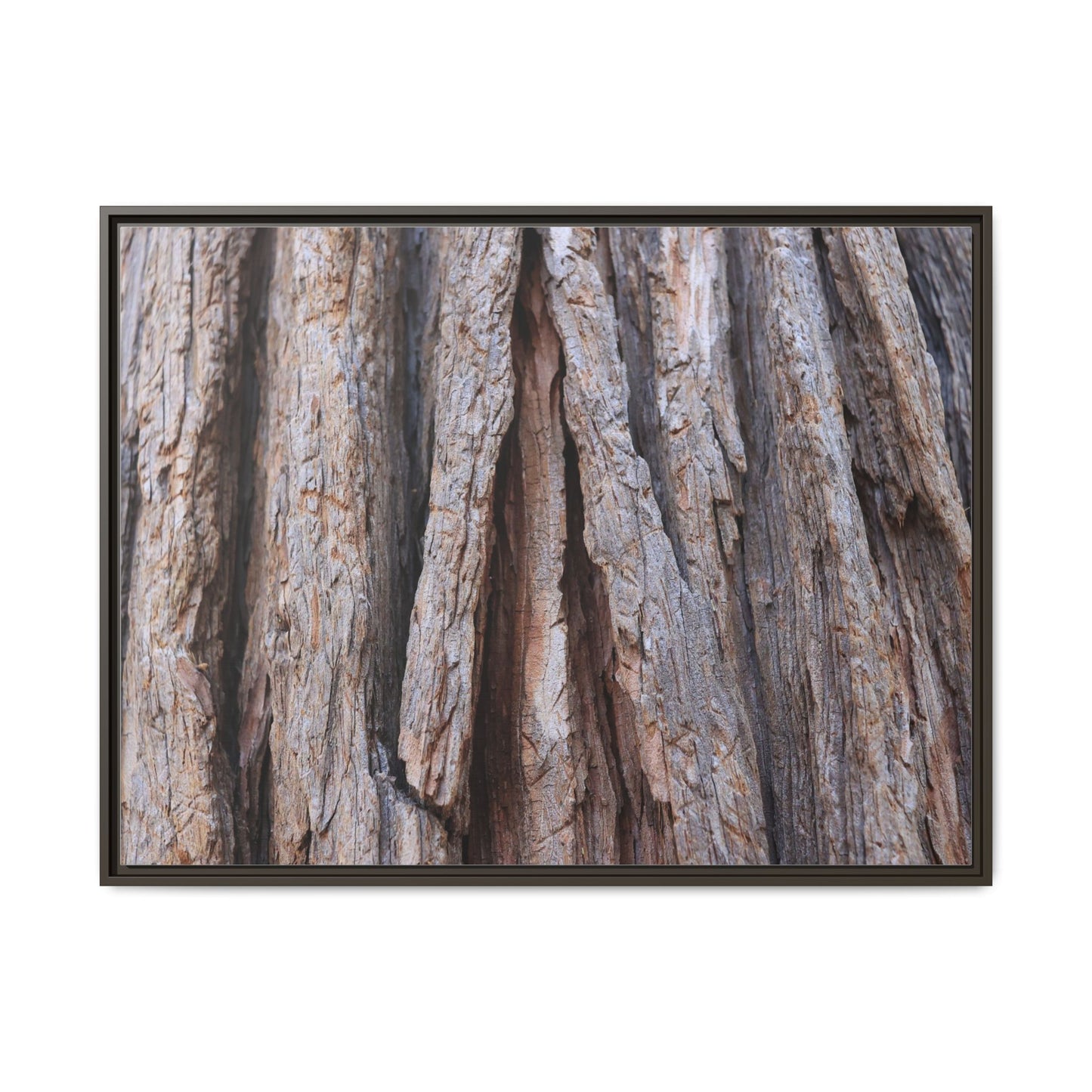 Nature's Sculpture - Unique Stretched Canvas Wall Art