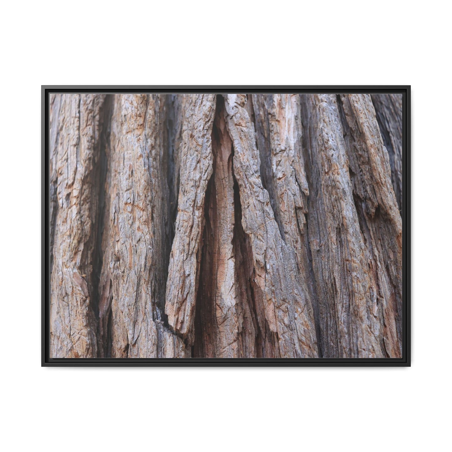Nature's Sculpture - Unique Stretched Canvas Wall Art