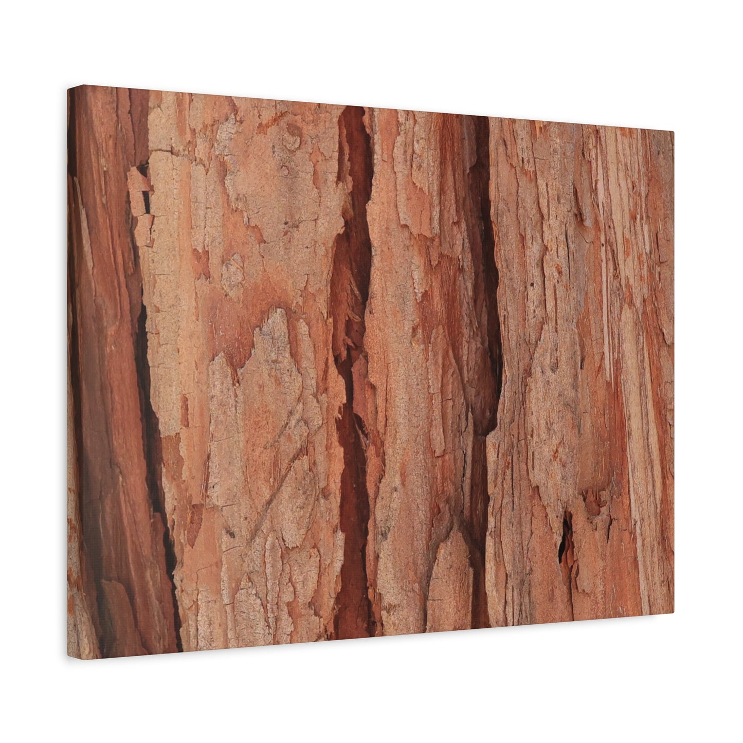 Bark Layers of Time - Unique Frameless Canvas Wall Art