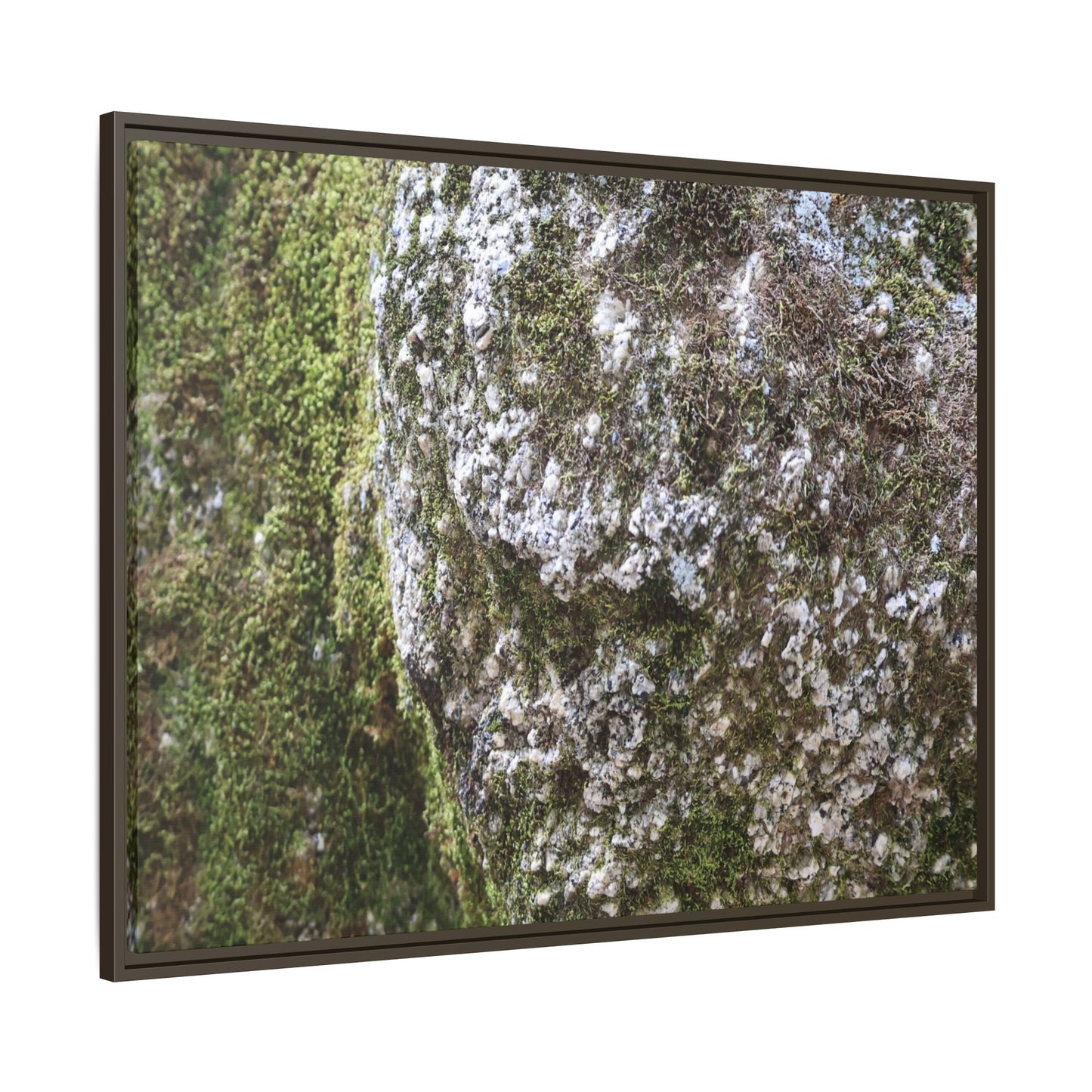 Lichen Landscape - Unique Stretched Canvas Wall Art