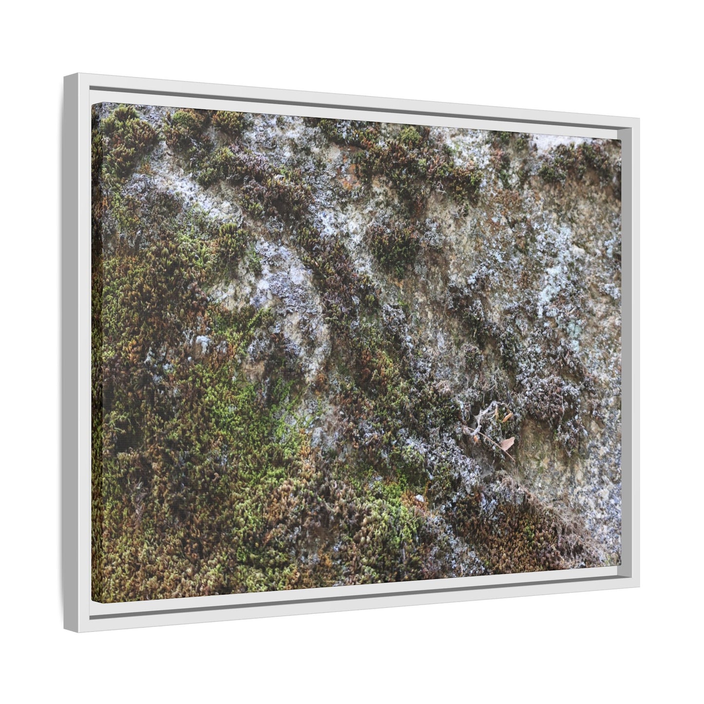 Mossy Whispers - Unique Stretched Canvas Wall Art