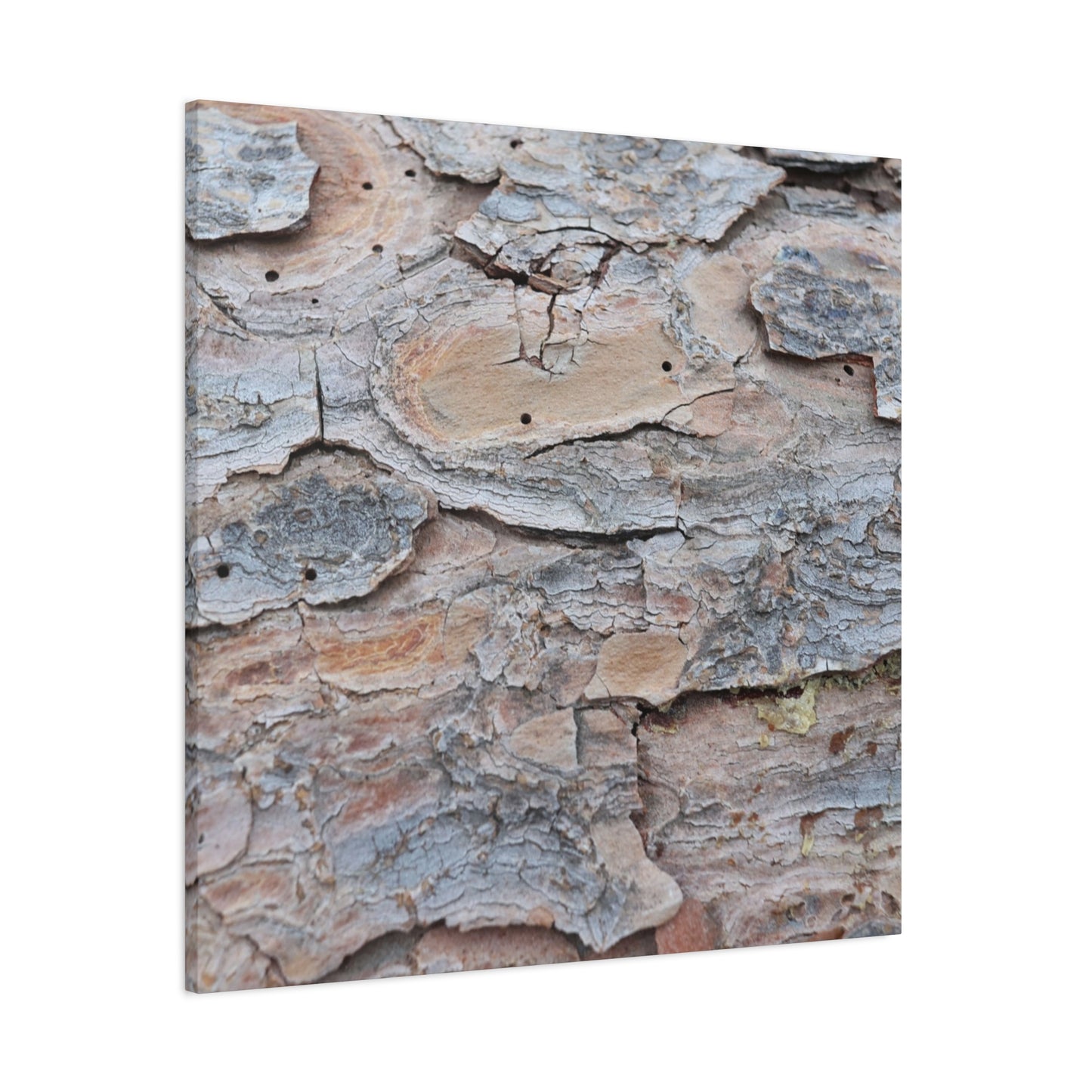 Textural Geology - Unique Frameless Canvas Wall Art
