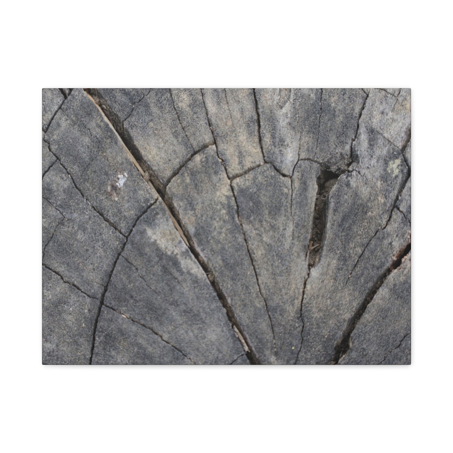 Geological Mosaic - Unique Frameless Canvas Wall Art