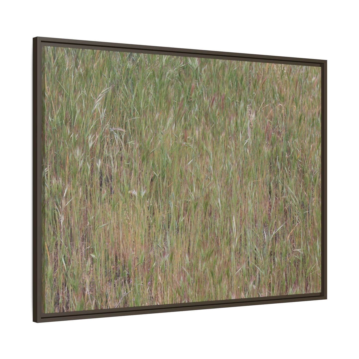 Field of Dreams - Unique Stretched Canvas Wall Art