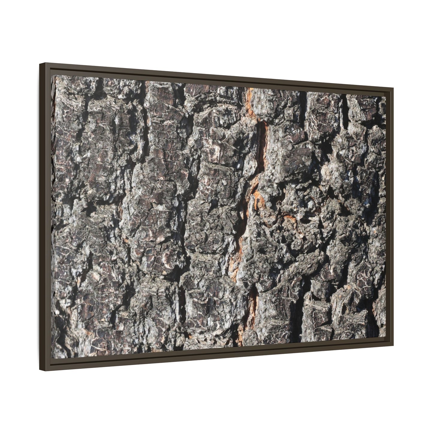 Aged Beauty - Unique Stretched Canvas Wall Art