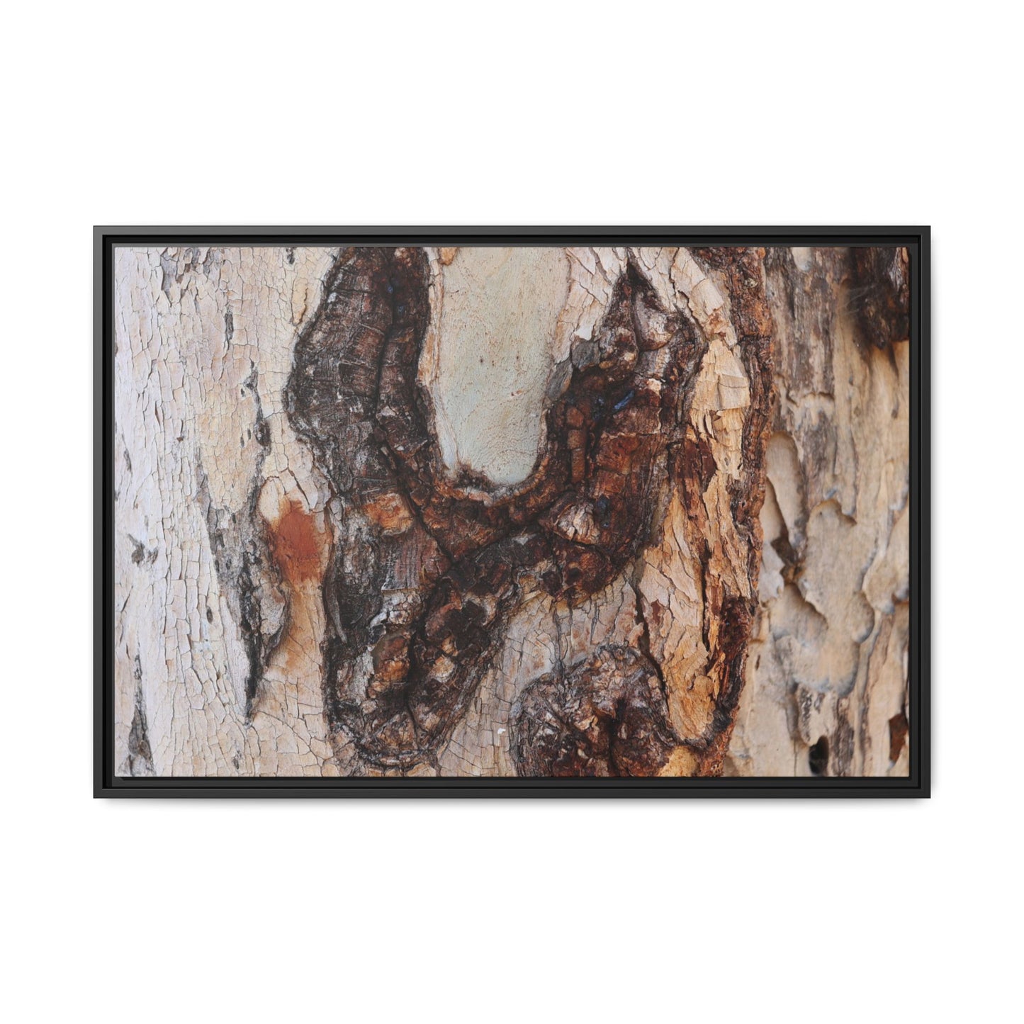 Texture of Time - Unique Stretched Canvas Wall Art