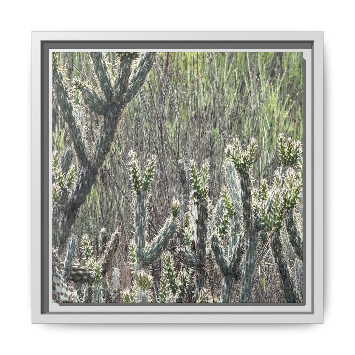 Prickly Paradise - Unique Stretched Canvas Wall Art