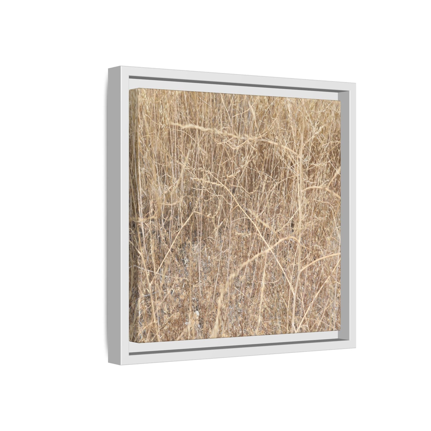 Golden Stalks - Unique Stretched Canvas Wall Art