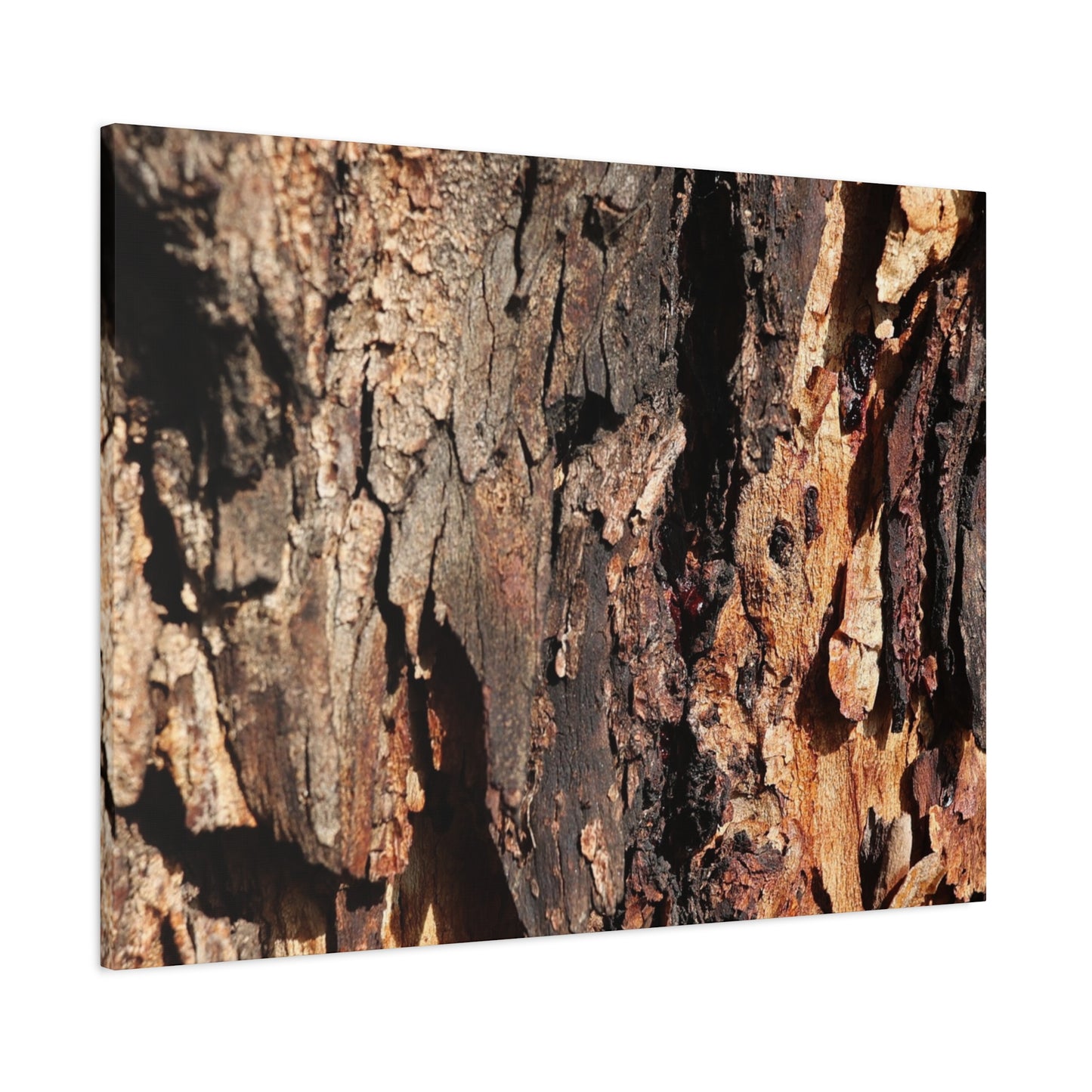 Wooden Terrain - Unique Frameless Canvas Wall Art