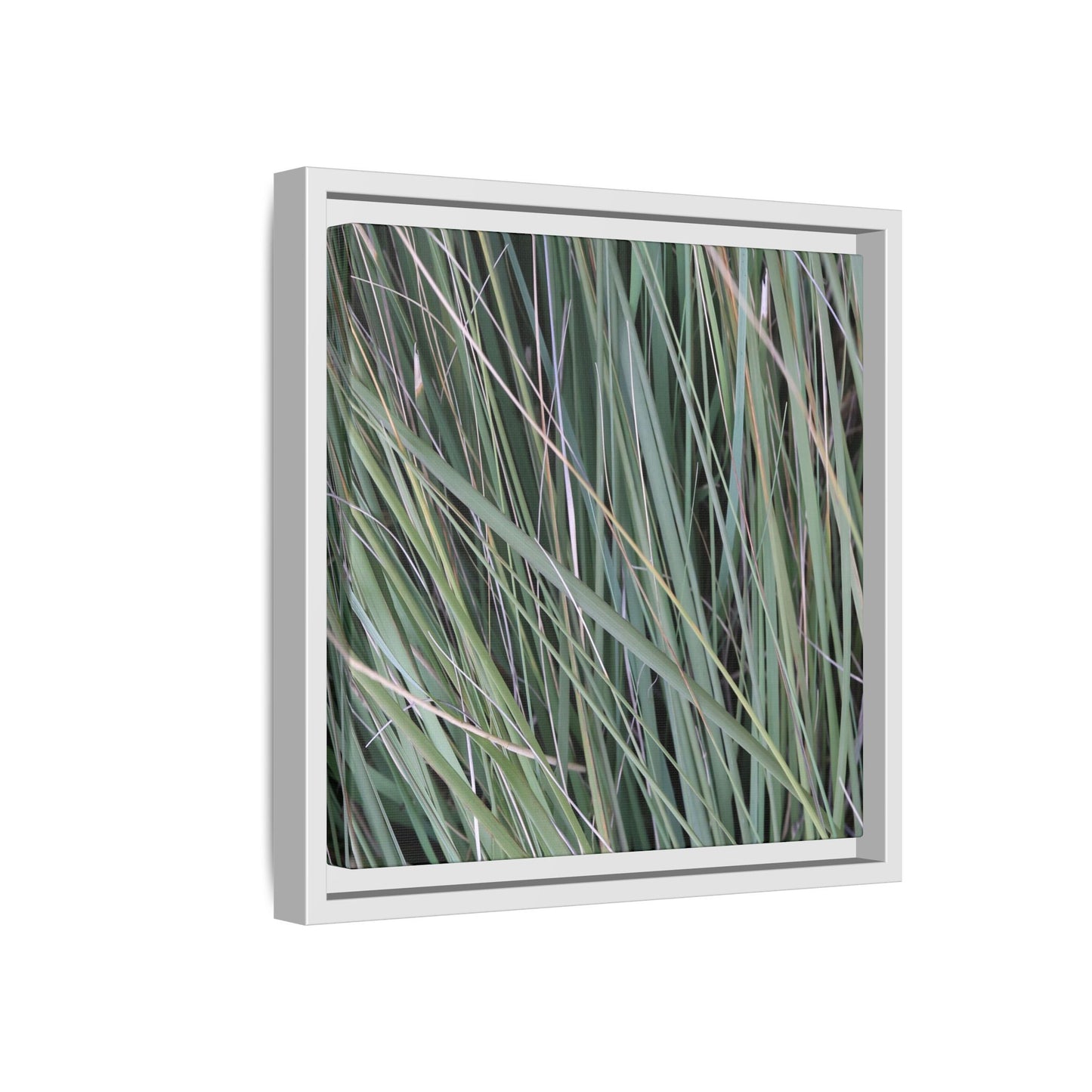 Grassland Symphony - Unique Stretched Canvas Wall Art