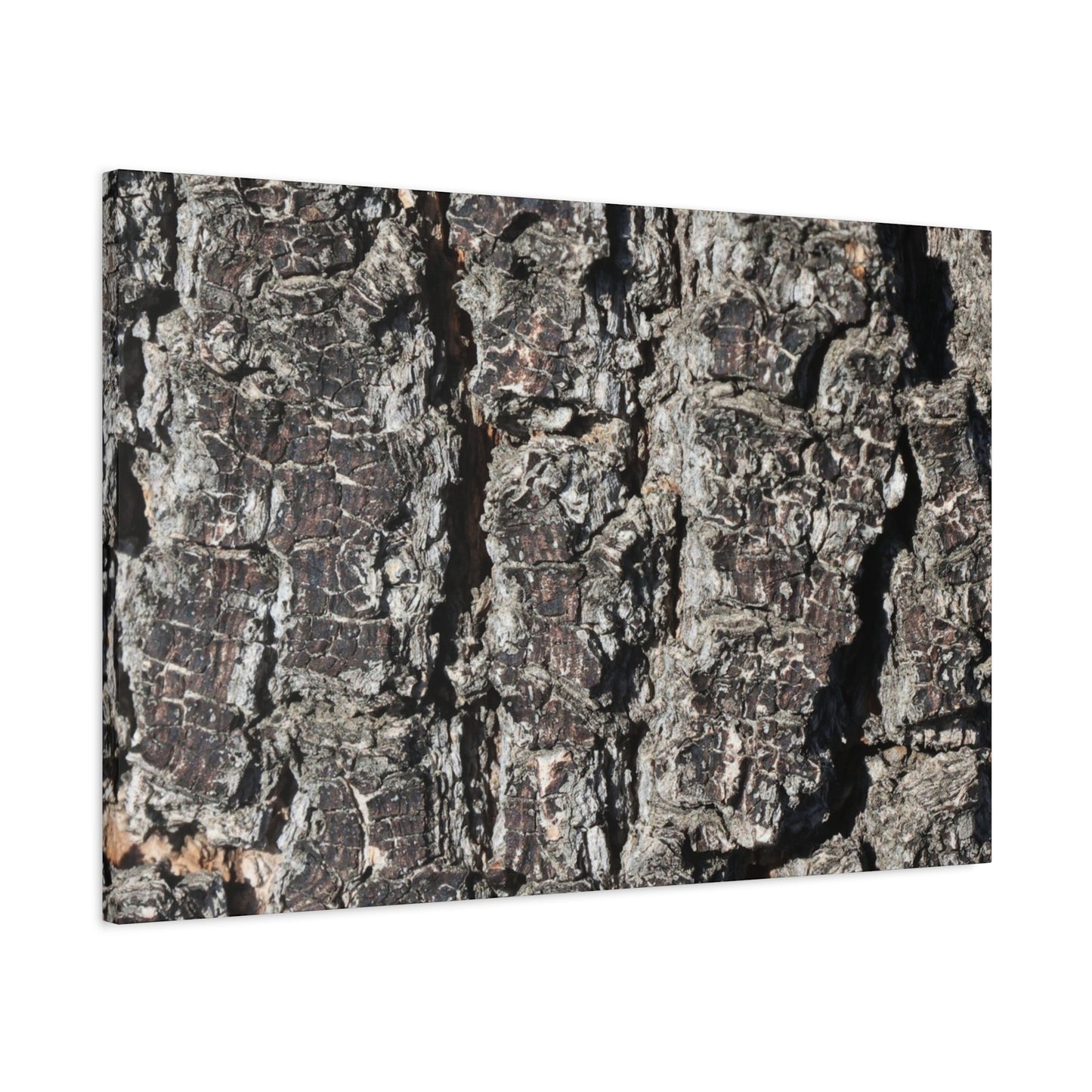 Cracked Skin of Earth - Unique Frameless Canvas Wall Art