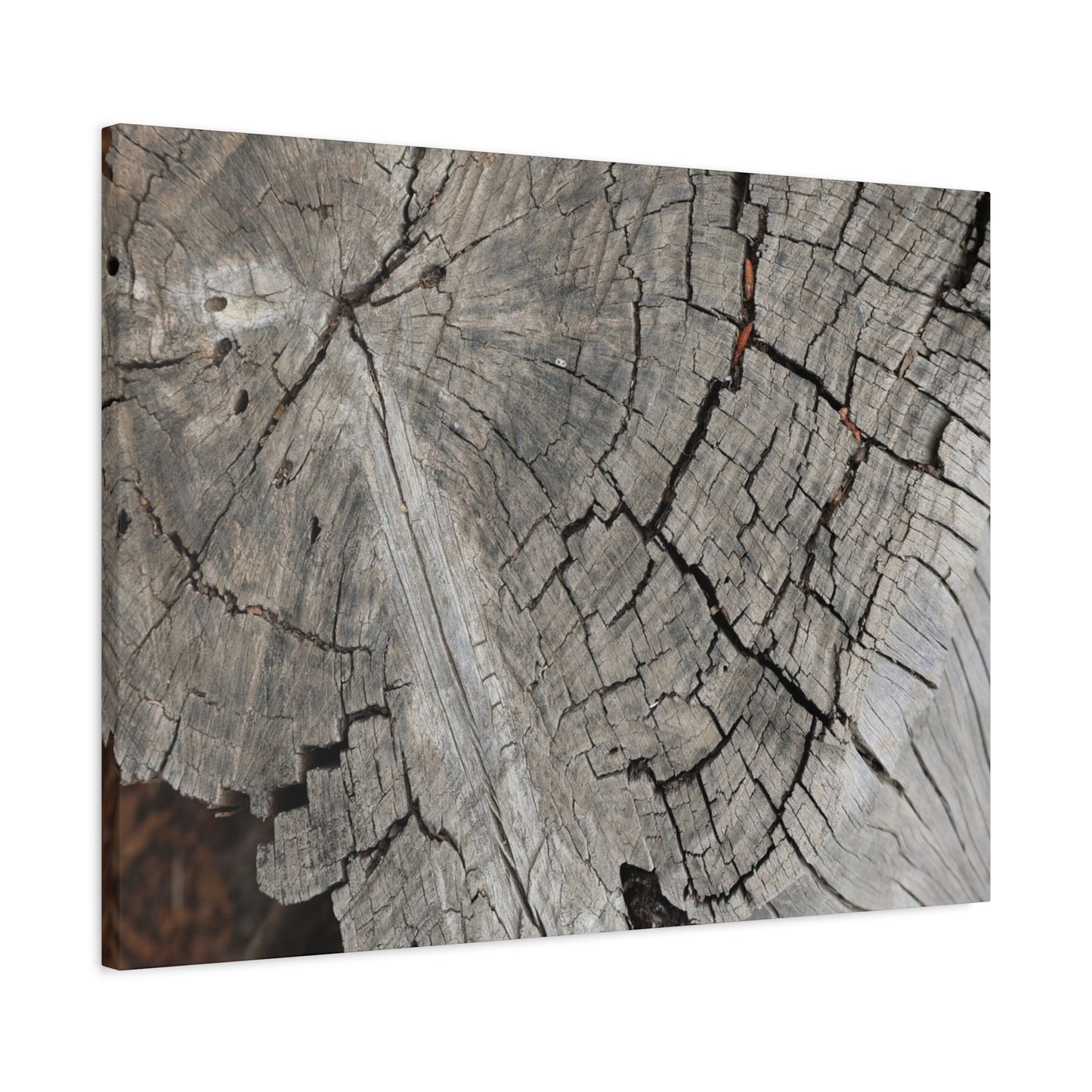 Cracked Memories - Unique Frameless Canvas Wall Art