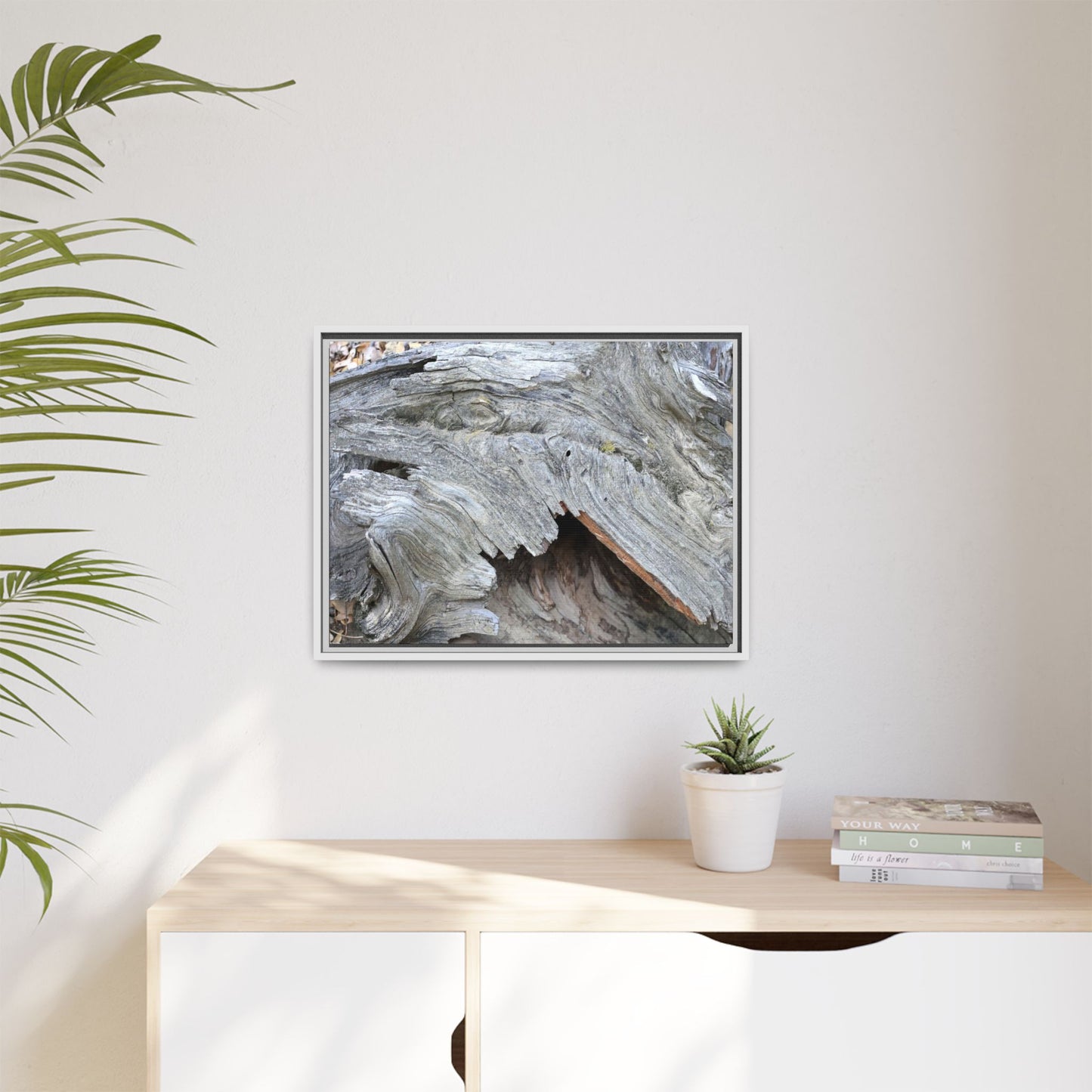 Driftwood Dreams - Unique Stretched Canvas Wall Art