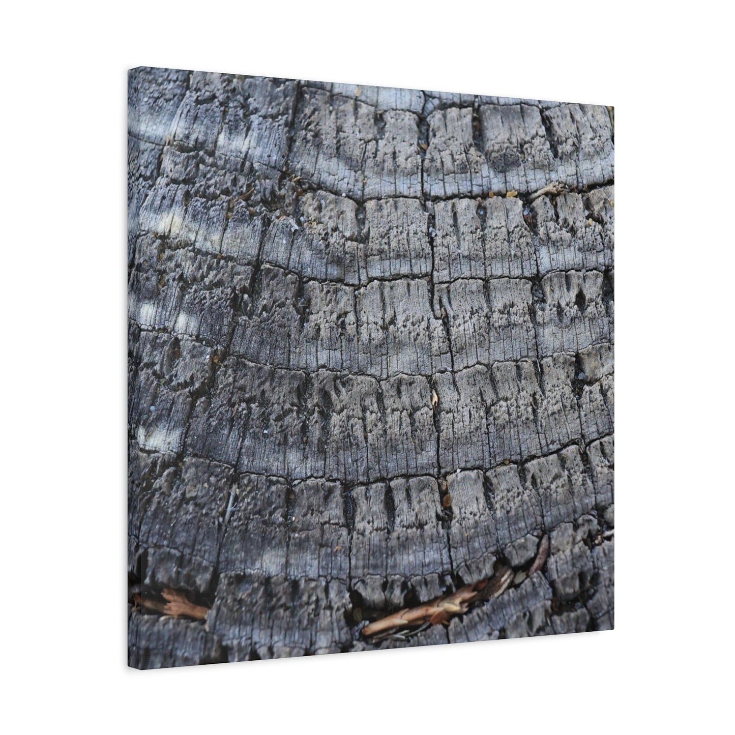 Whispers of Age - Unique Frameless Canvas Wall Art