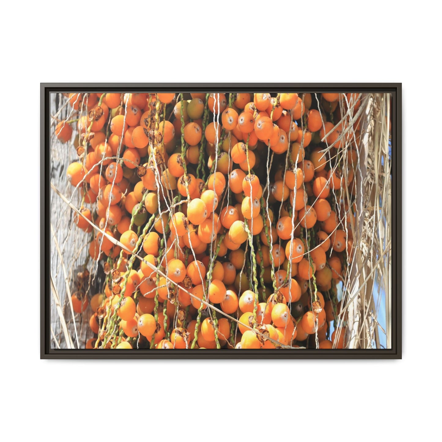 Clusters of Sunlight - Unique Canvas Wall Art