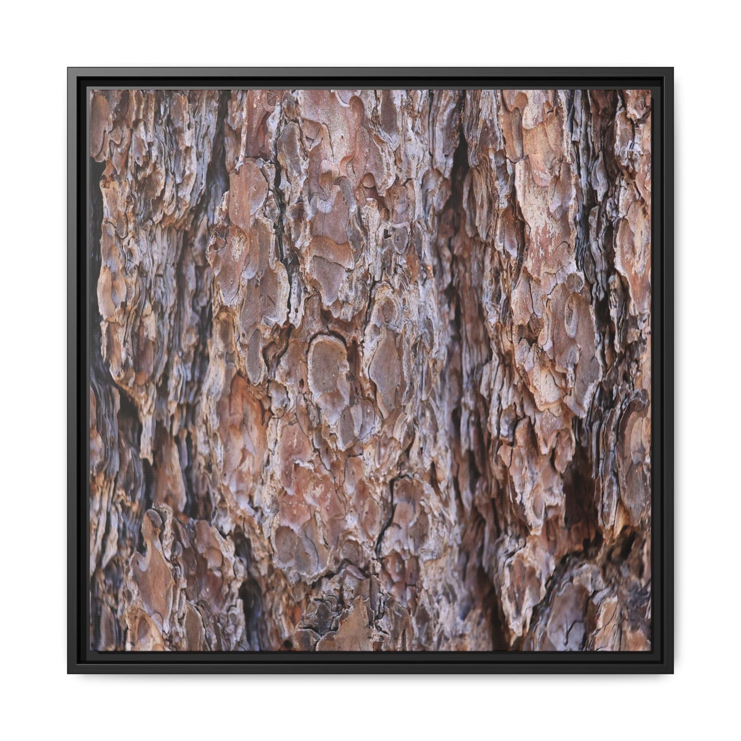 Woody Layers - Unique Stretched Canvas Wall Art