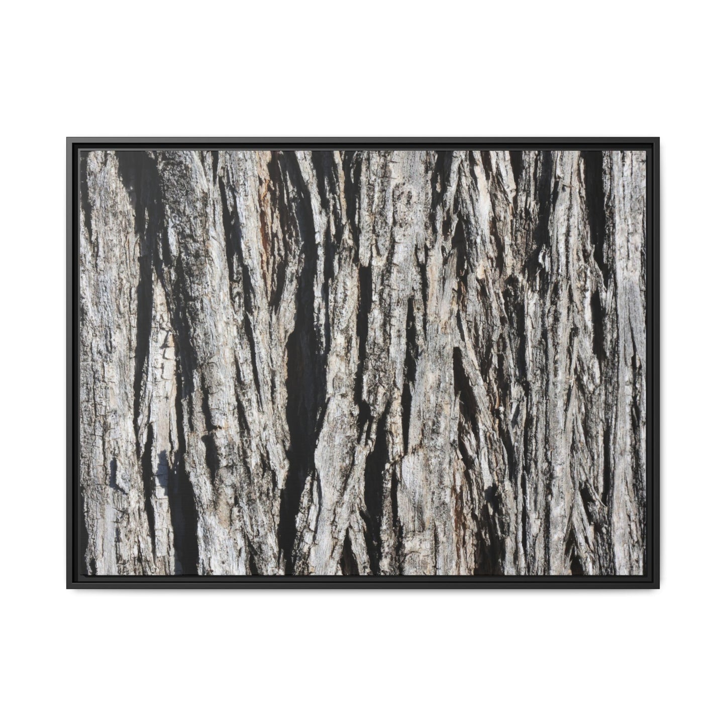 Bark Lines - Unique Stretched Canvas Wall Art