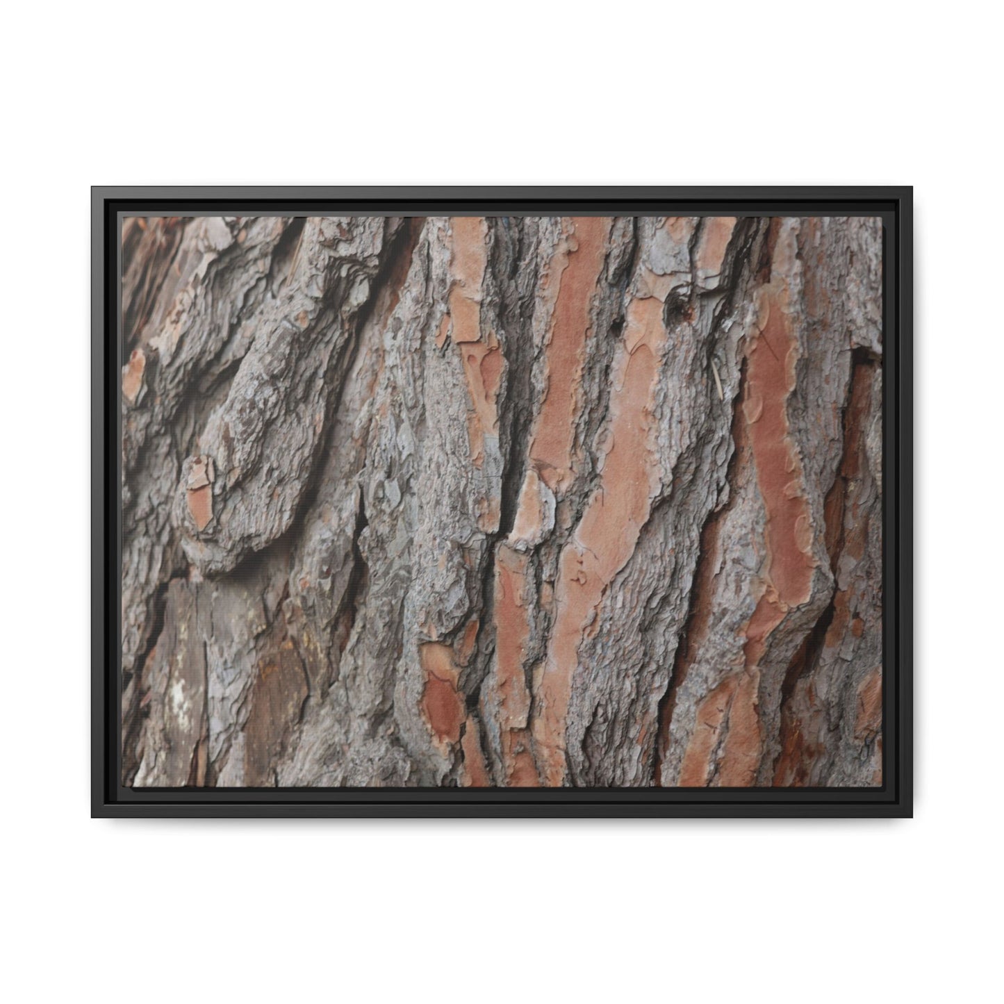 Woodland Layers - Unique Stretched Canvas Wall Art
