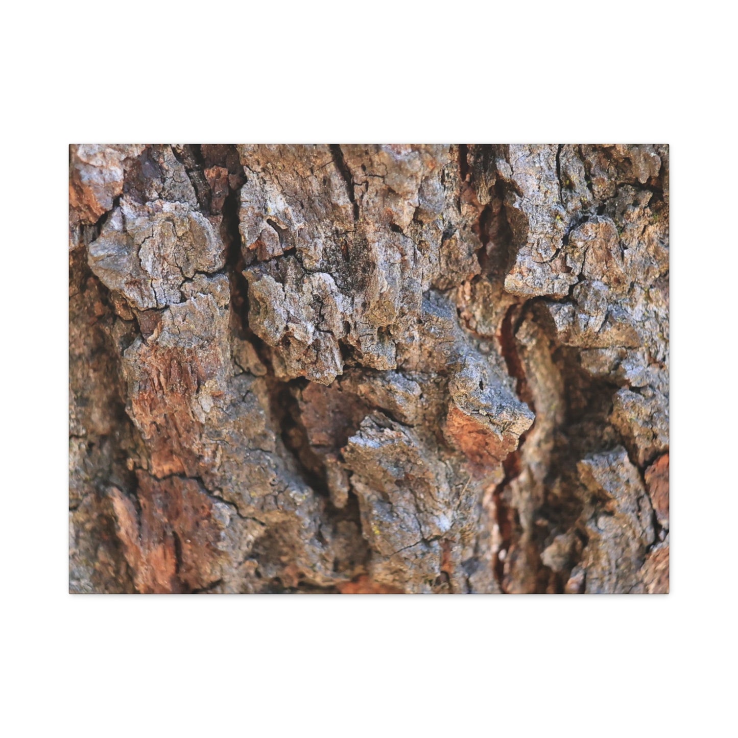Nature's Skin - Unique Frameless Canvas Wall Art