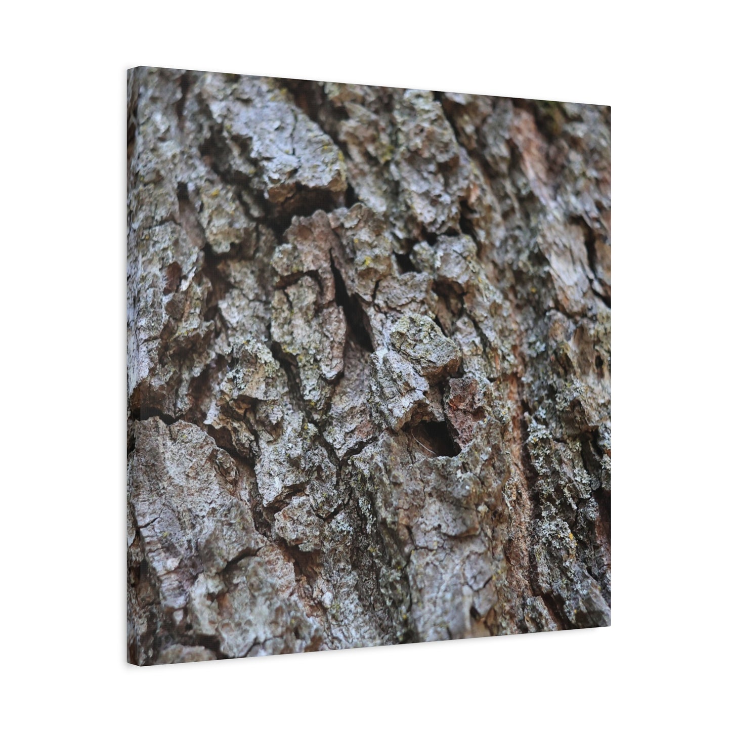 Cracked Echoes - Unique Frameless Canvas Wall Art