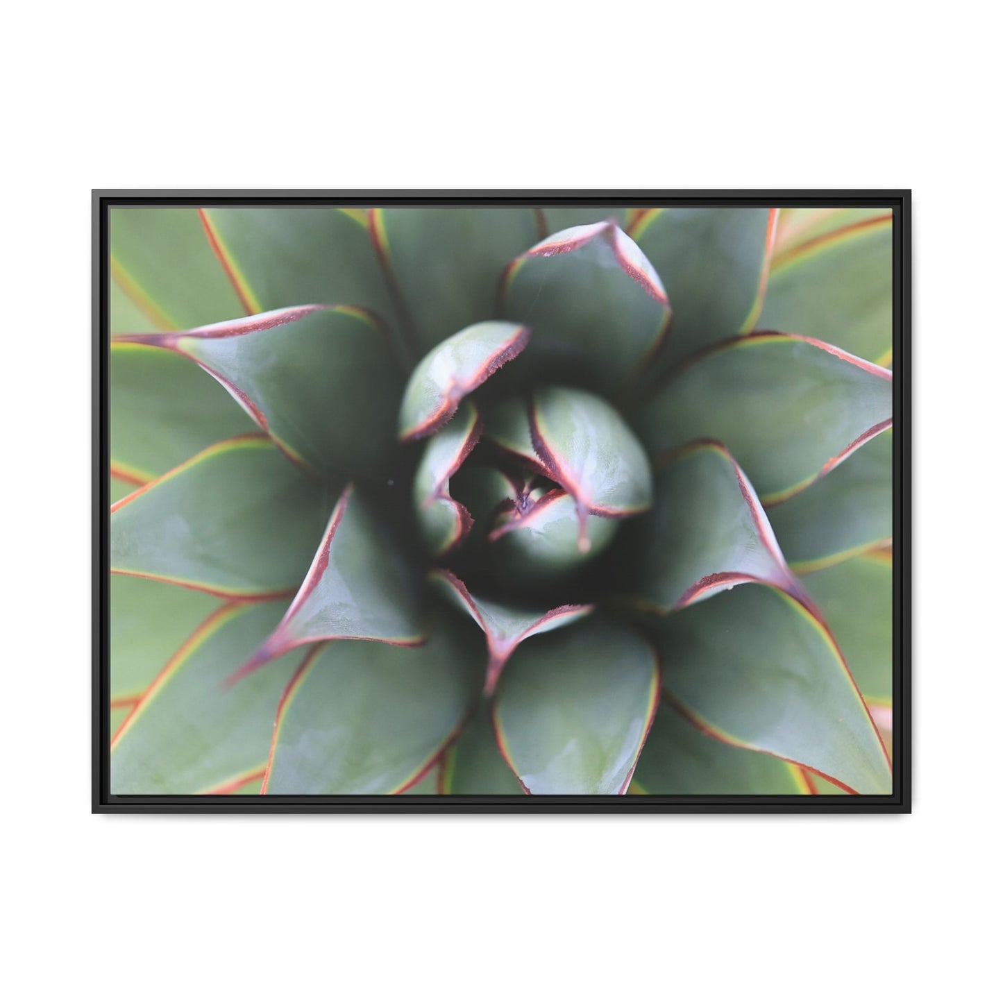 Spiky Elegance - Unique Stretched Canvas Wall Art