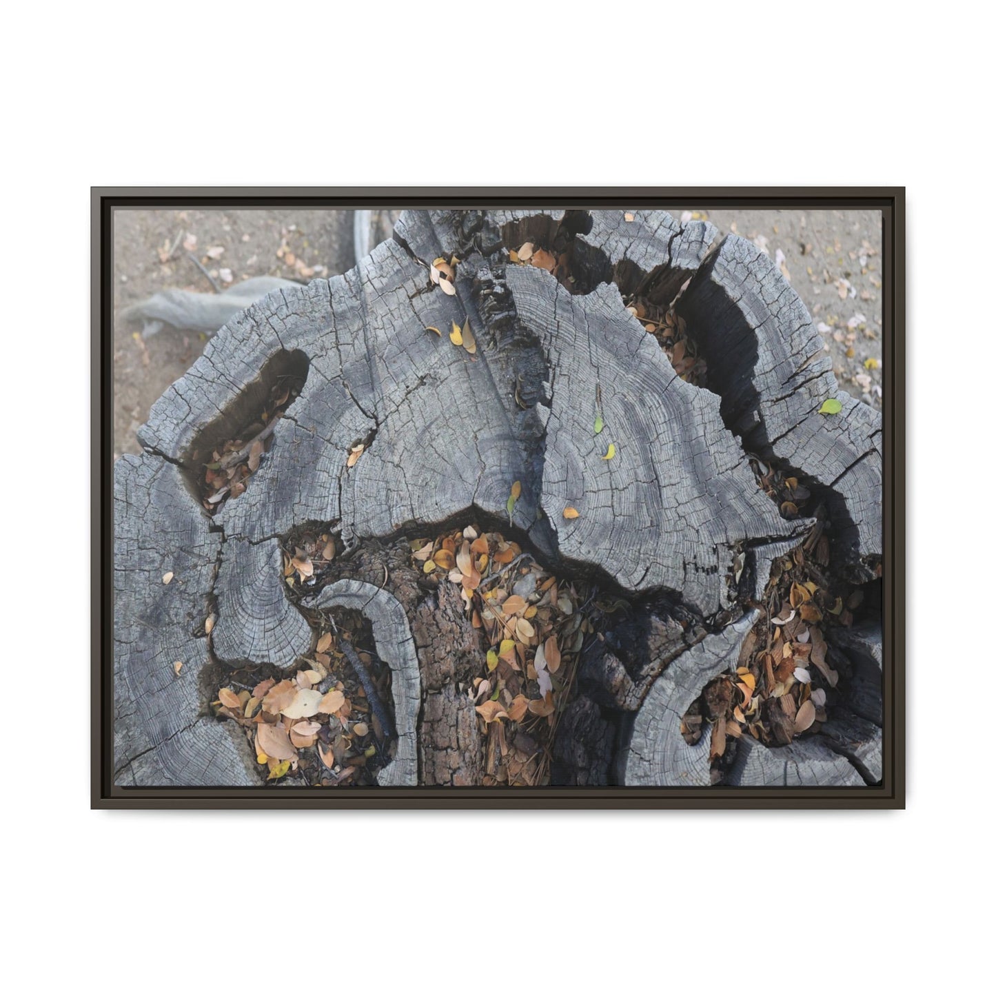 Time's Fractal Memory - Unique Stretched Canvas Wall Art