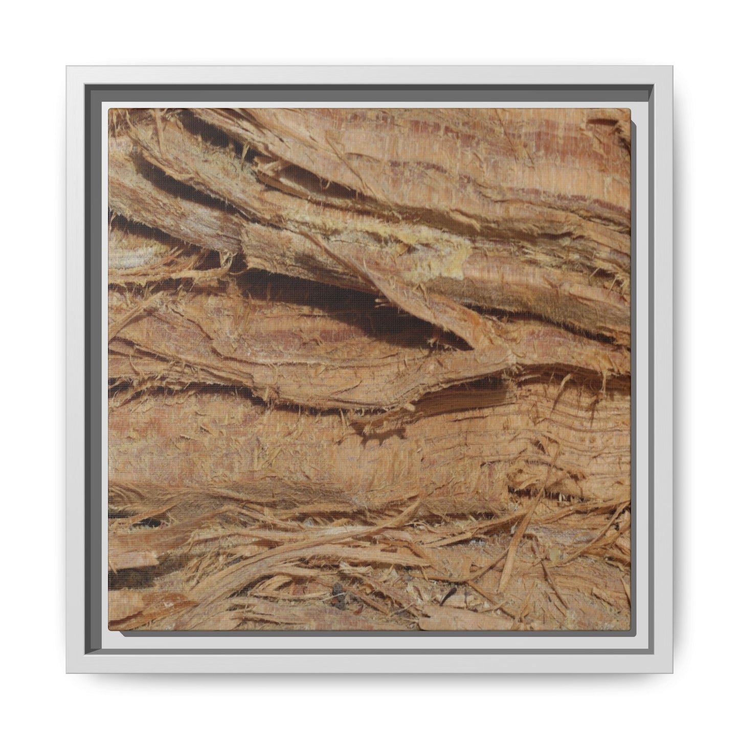Splintered Bark - Unique Stretched Canvas Wall Art