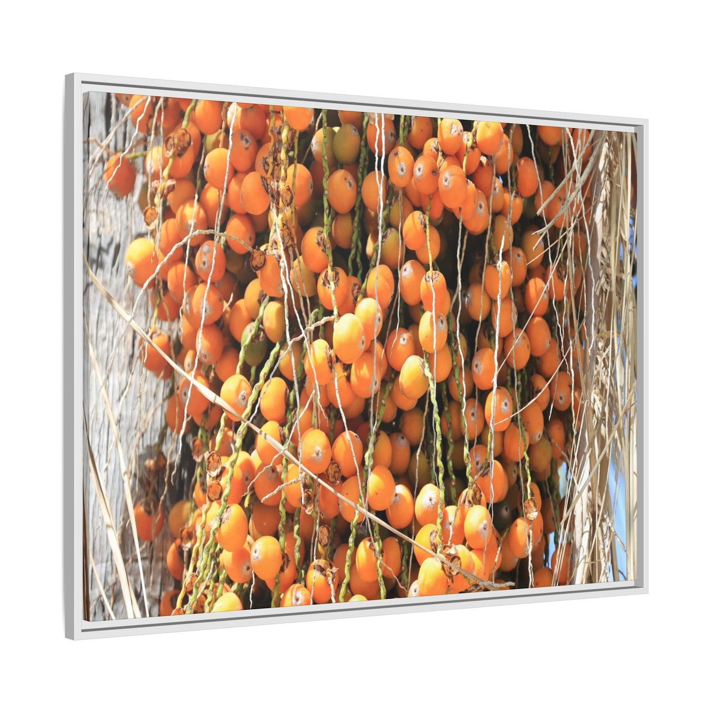 Clusters of Sunlight - Unique Canvas Wall Art