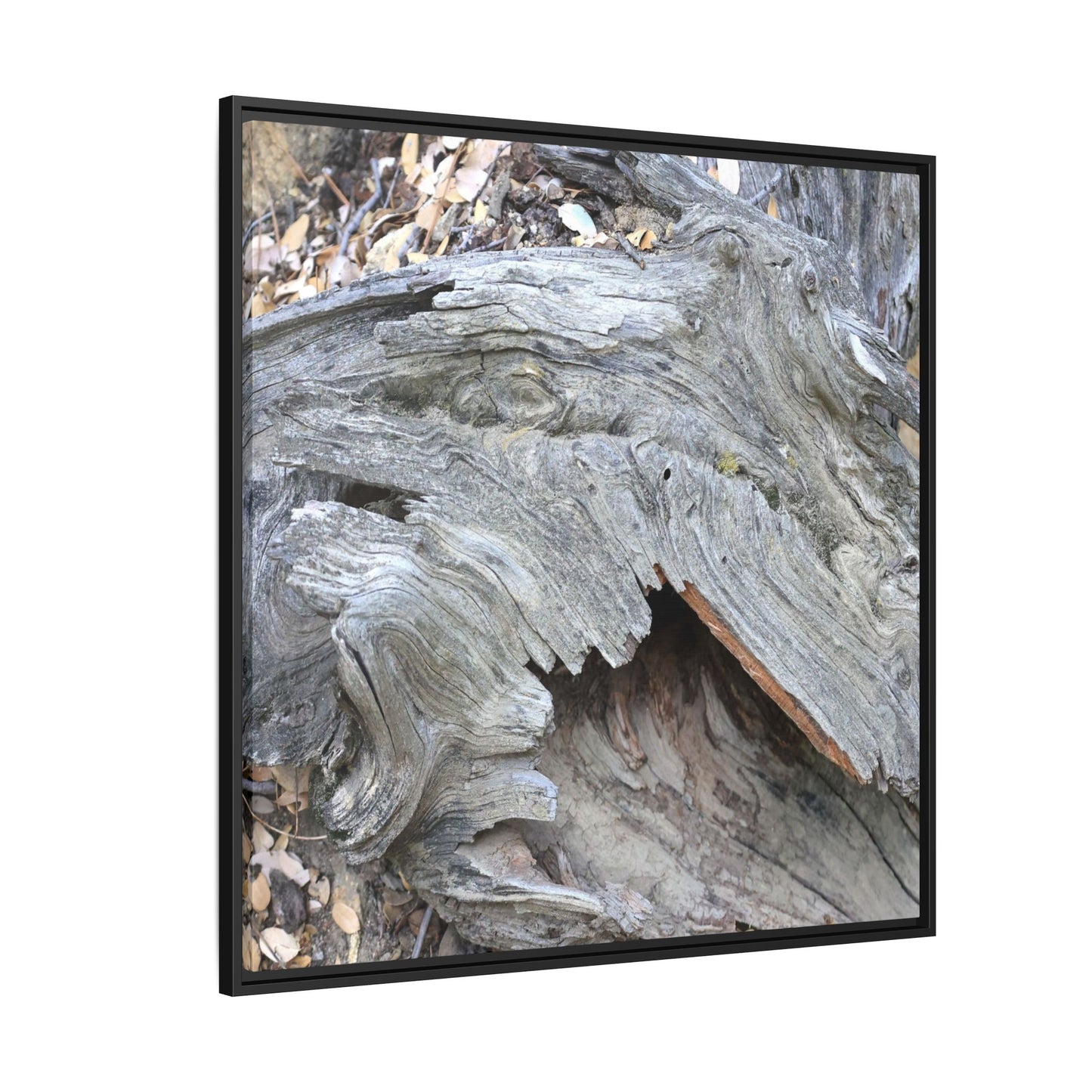 Driftwood Dreams - Unique Stretched Canvas Wall Art