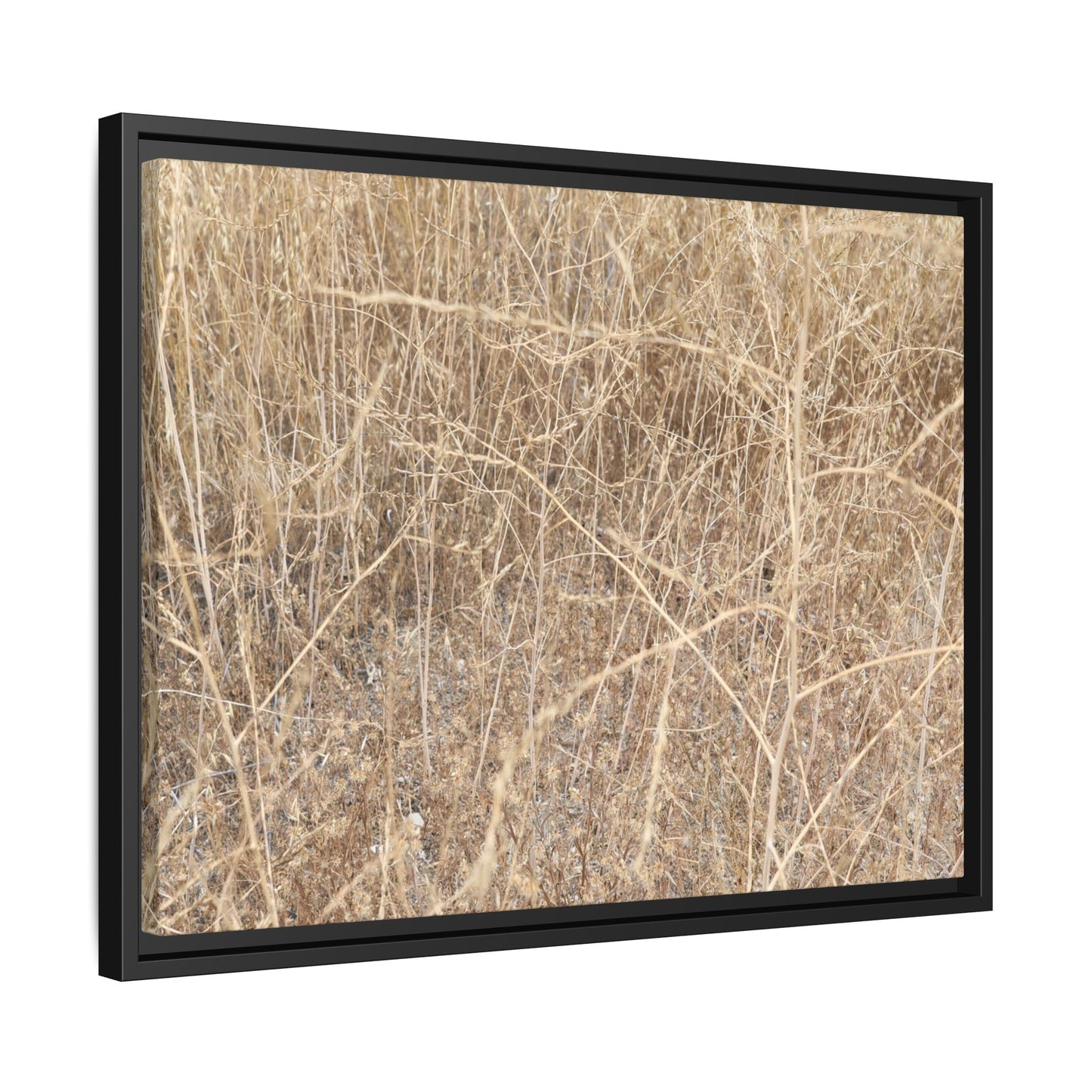Golden Stalks - Unique Stretched Canvas Wall Art