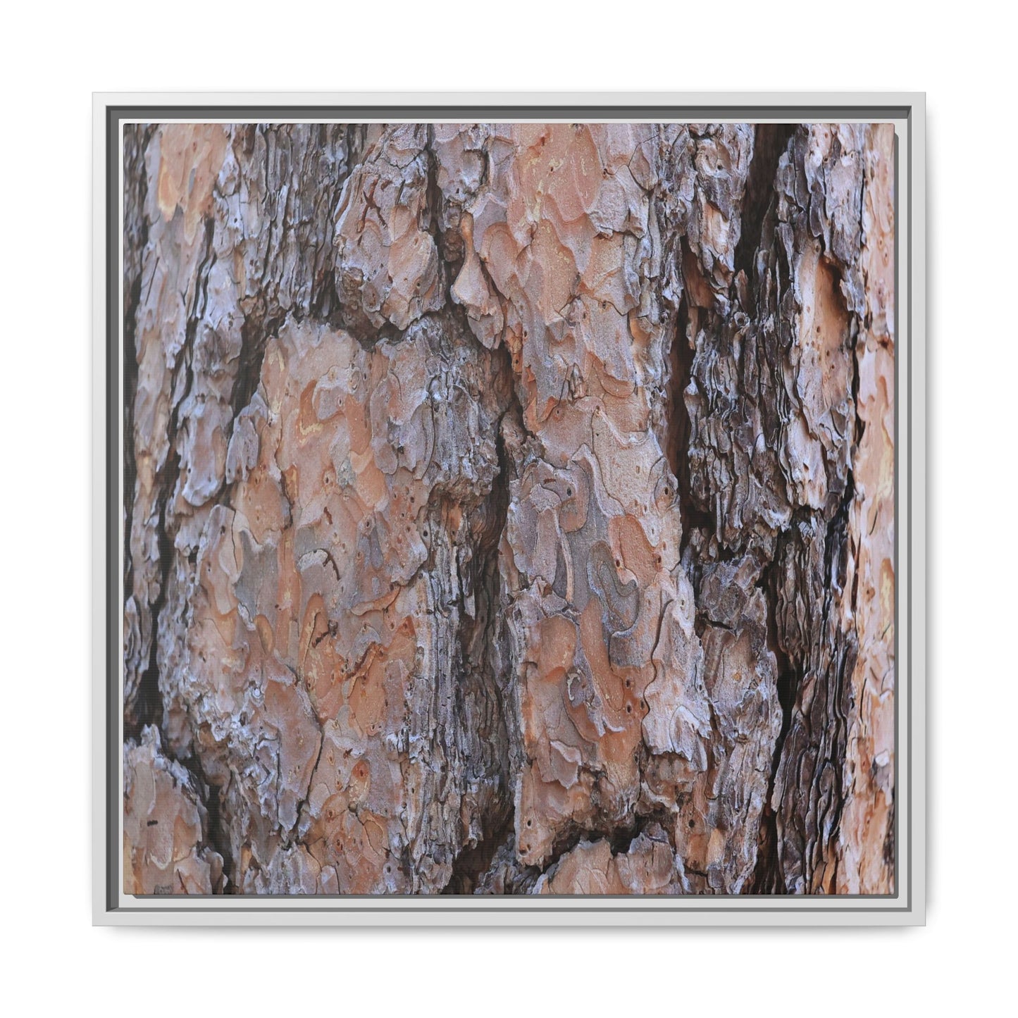 Tree Skin Symphony - Unique Stretched Canvas Wall Art