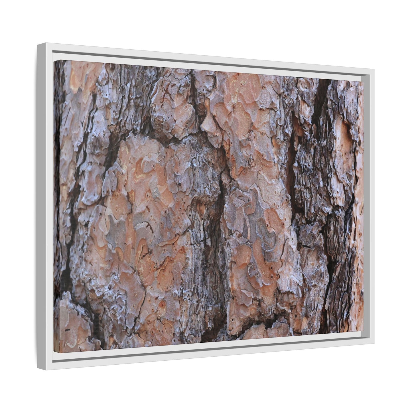 Tree Skin Symphony - Unique Stretched Canvas Wall Art