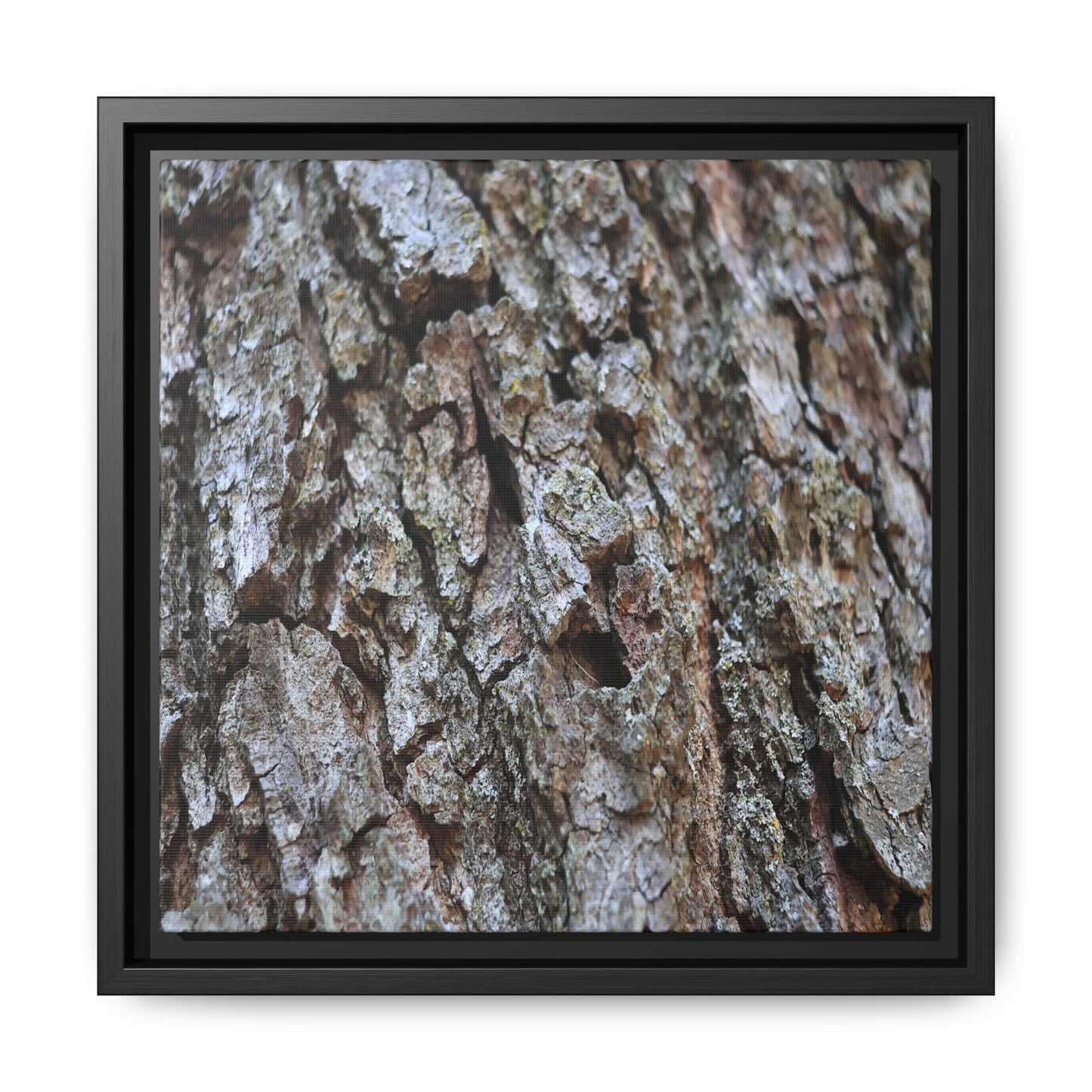 Woodland Canvas - Unique Stretched Canvas Wall Art