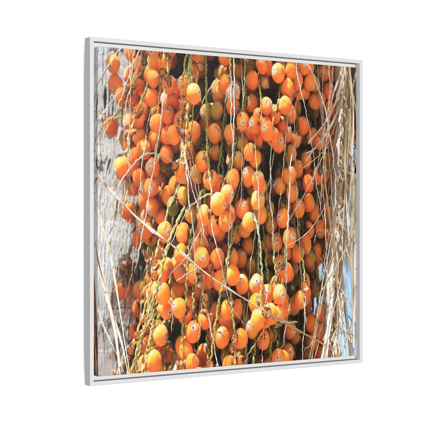 Clusters of Sunlight - Unique Canvas Wall Art