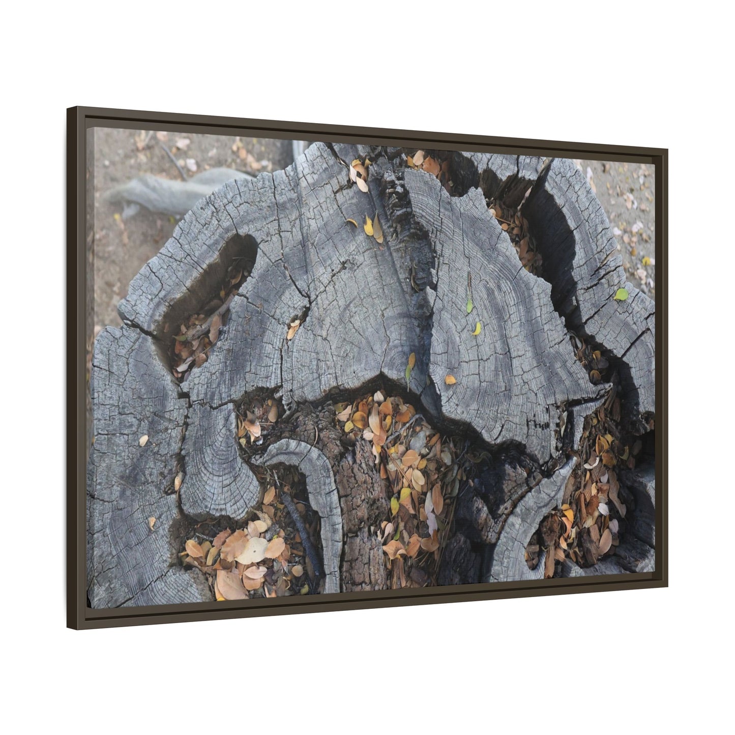 Time's Fractal Memory - Unique Stretched Canvas Wall Art