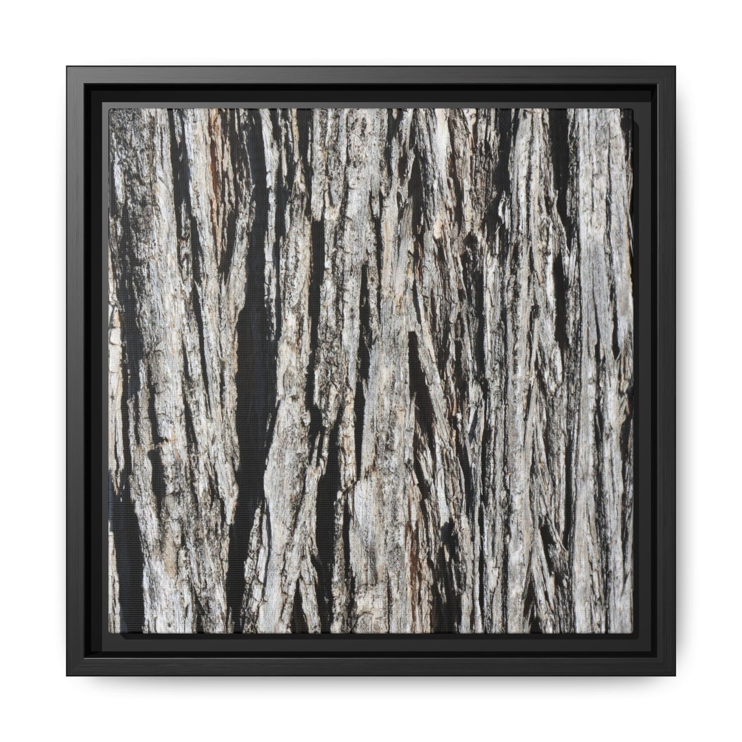 Nature's Abstract - Unique Stretched Canvas Wall Art