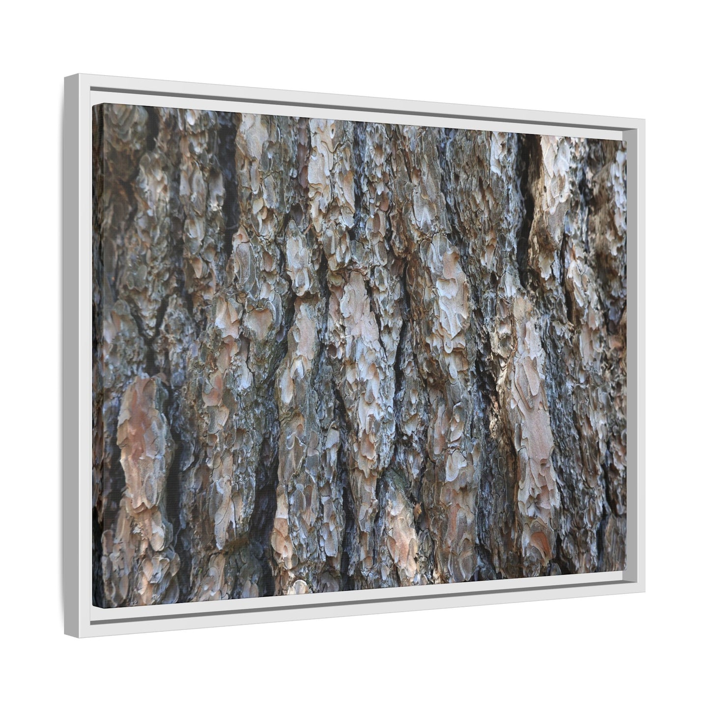 Bark Whispers - Unique Stretched Canvas Wall Art