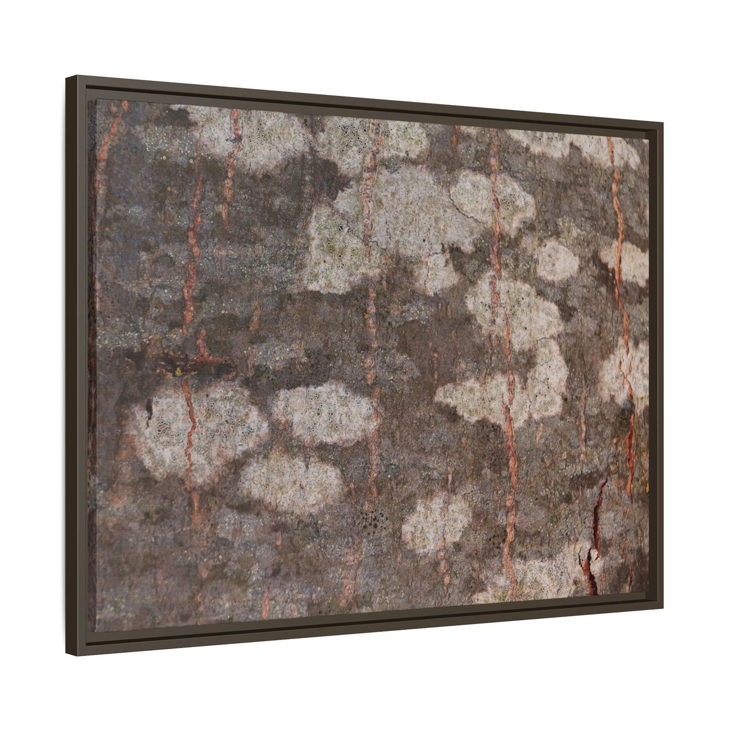 Lichen's Legacy - Unique Stretched Canvas Wall Art