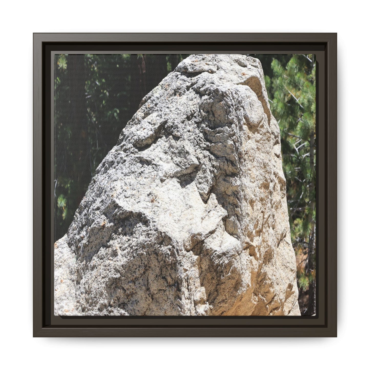 Stone's Silent Whisper - Unique Stretched Canvas Wall Art