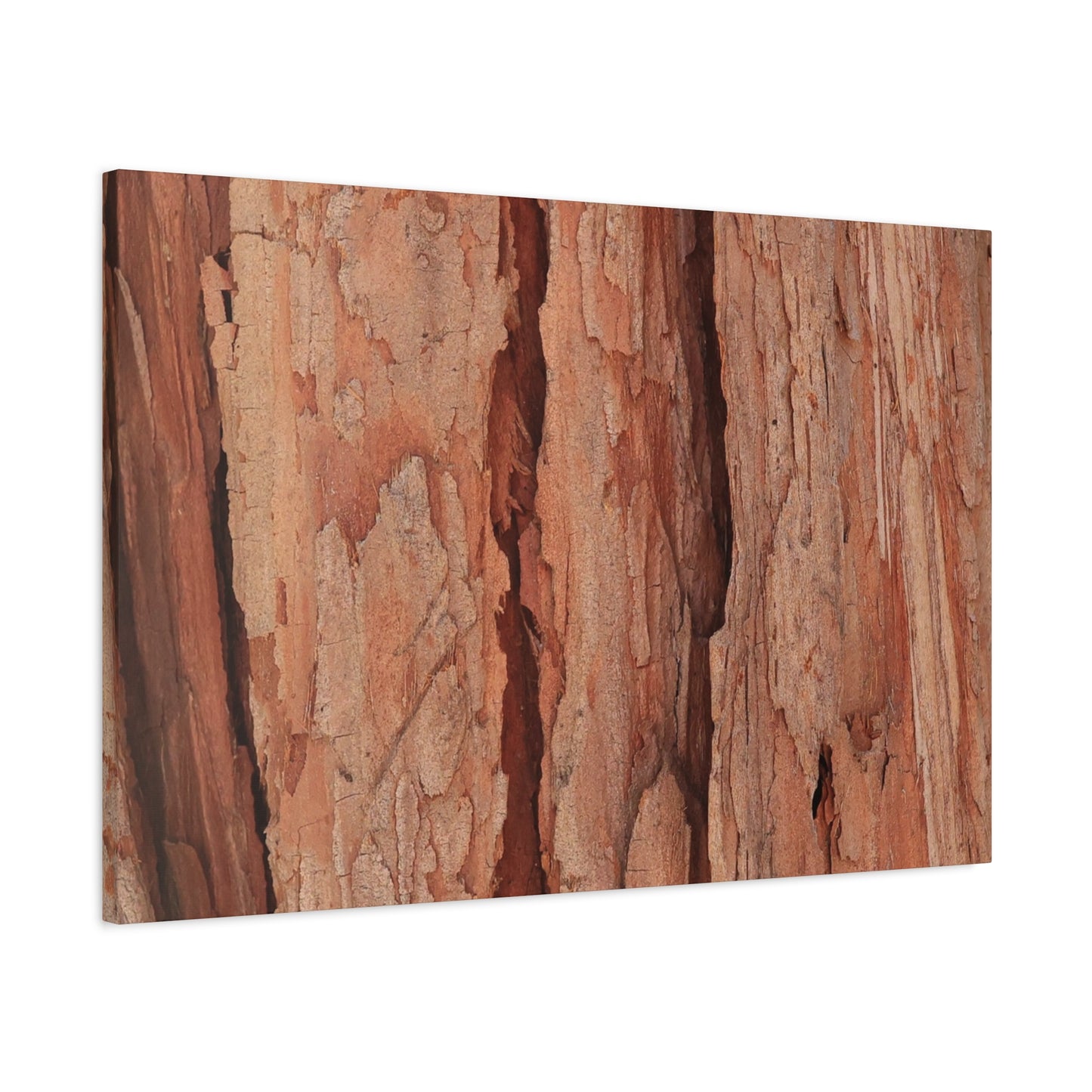 Bark Layers of Time - Unique Frameless Canvas Wall Art