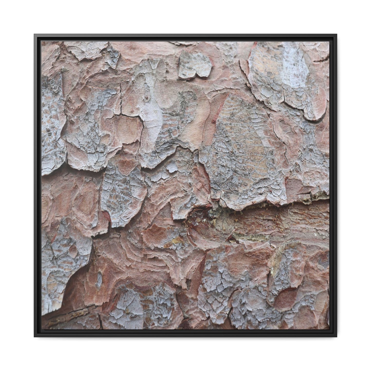 Flaking Serenity - Unique Stretched Canvas Wall Art