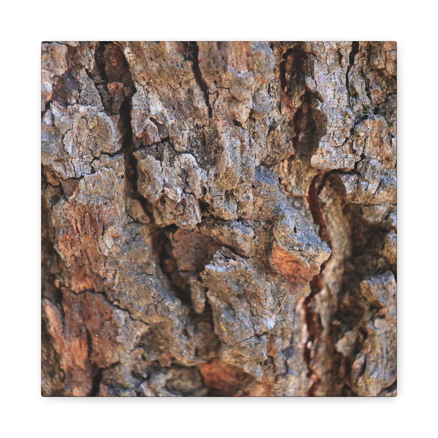 Nature's Skin - Unique Frameless Canvas Wall Art