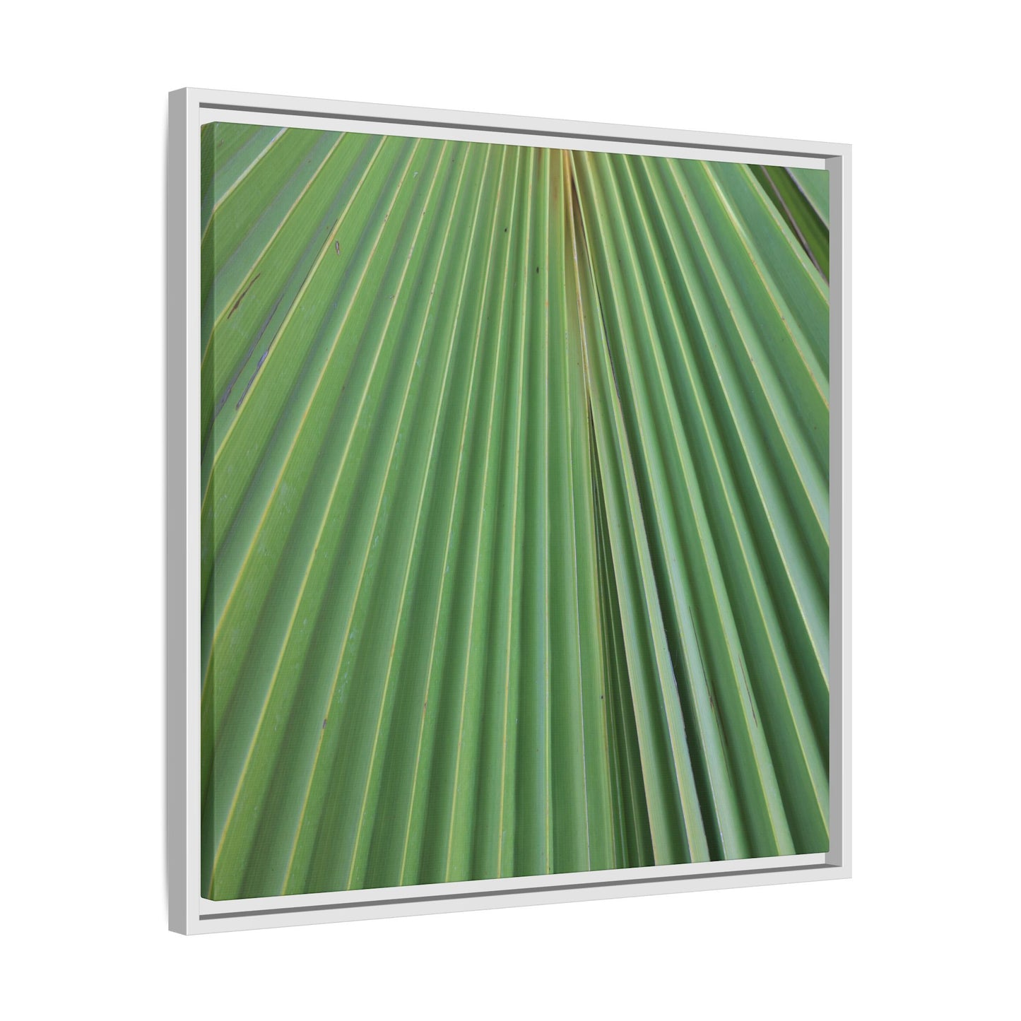 Verdant Veins - Unique Stretched Canvas Wall Art